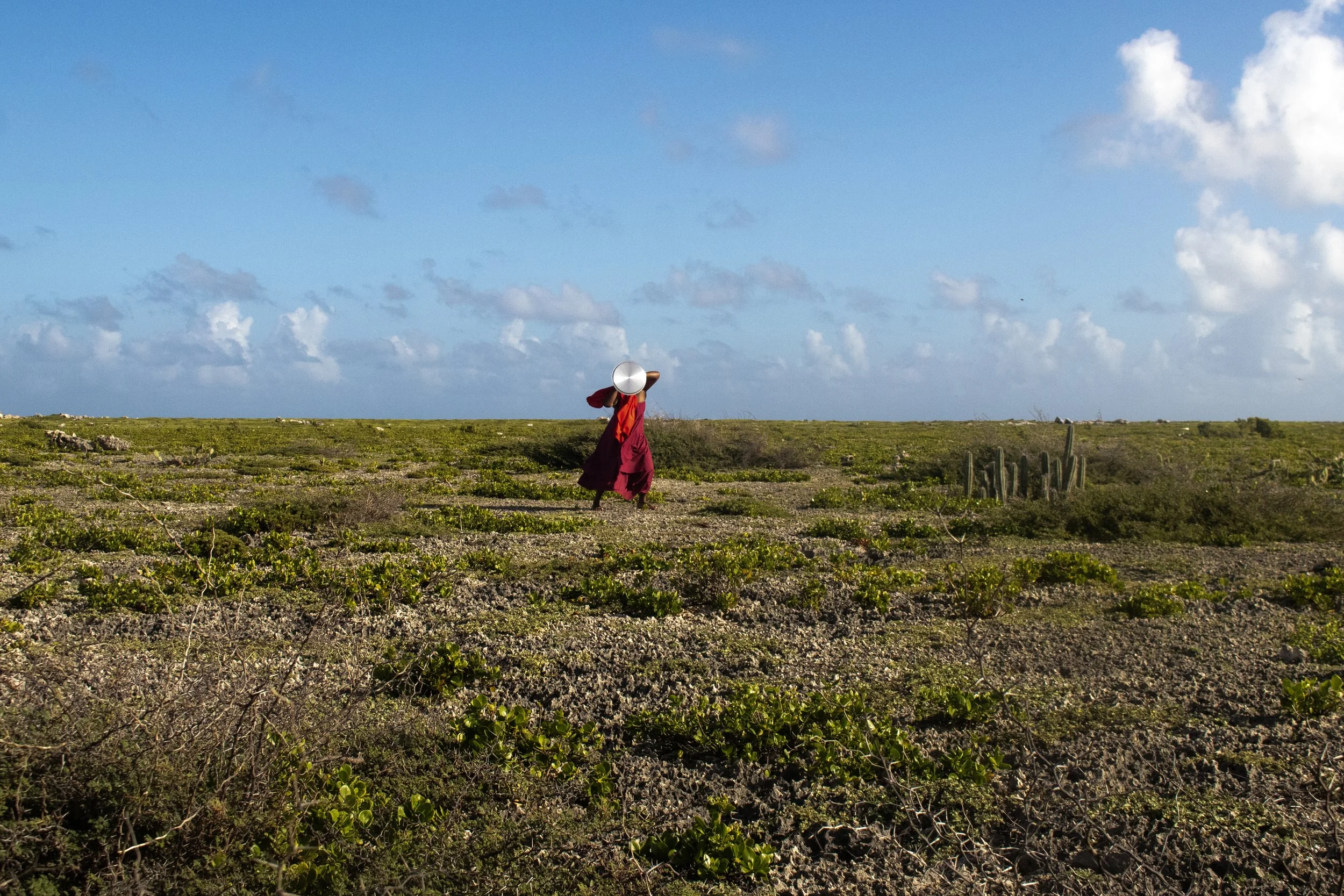 Bleki, Kachu ku Solo (2025)