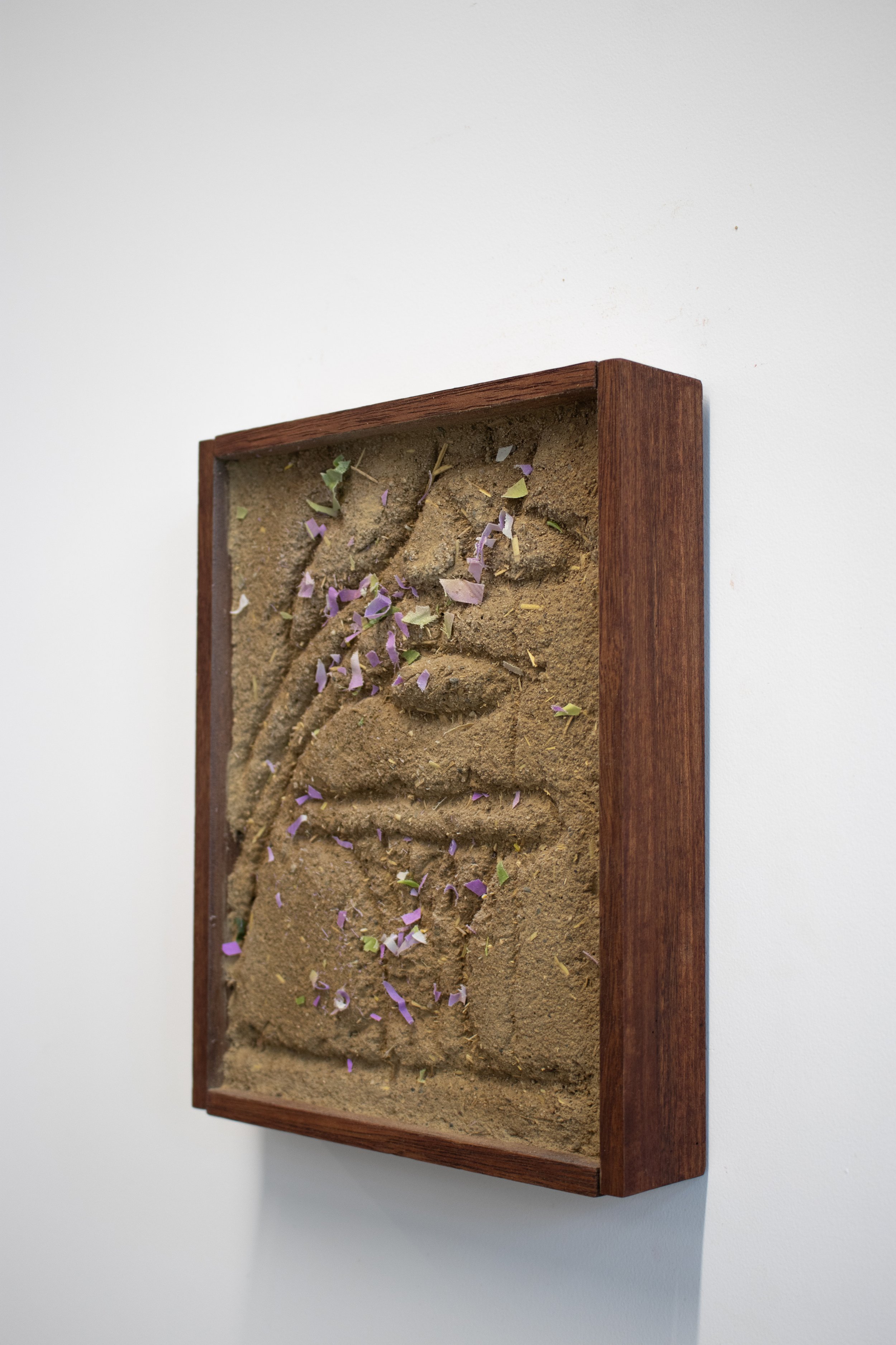 Travis Geertruida_Primavera_untitled2_2.jpg