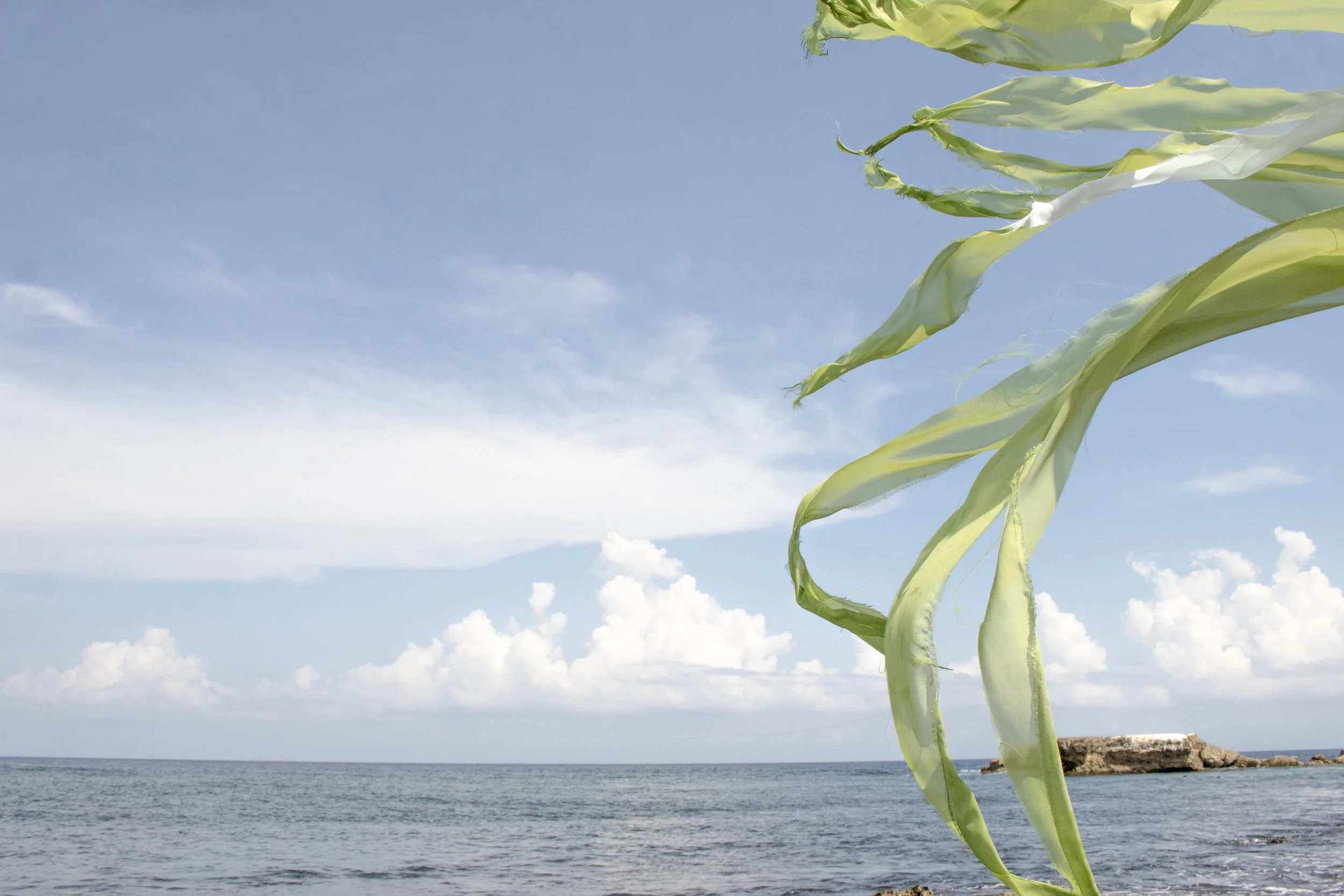 Wind ward.jpg