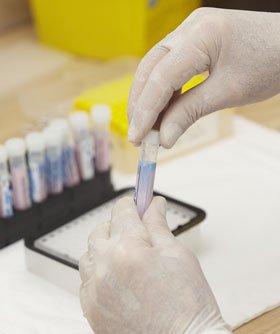 drug-testing.jpg