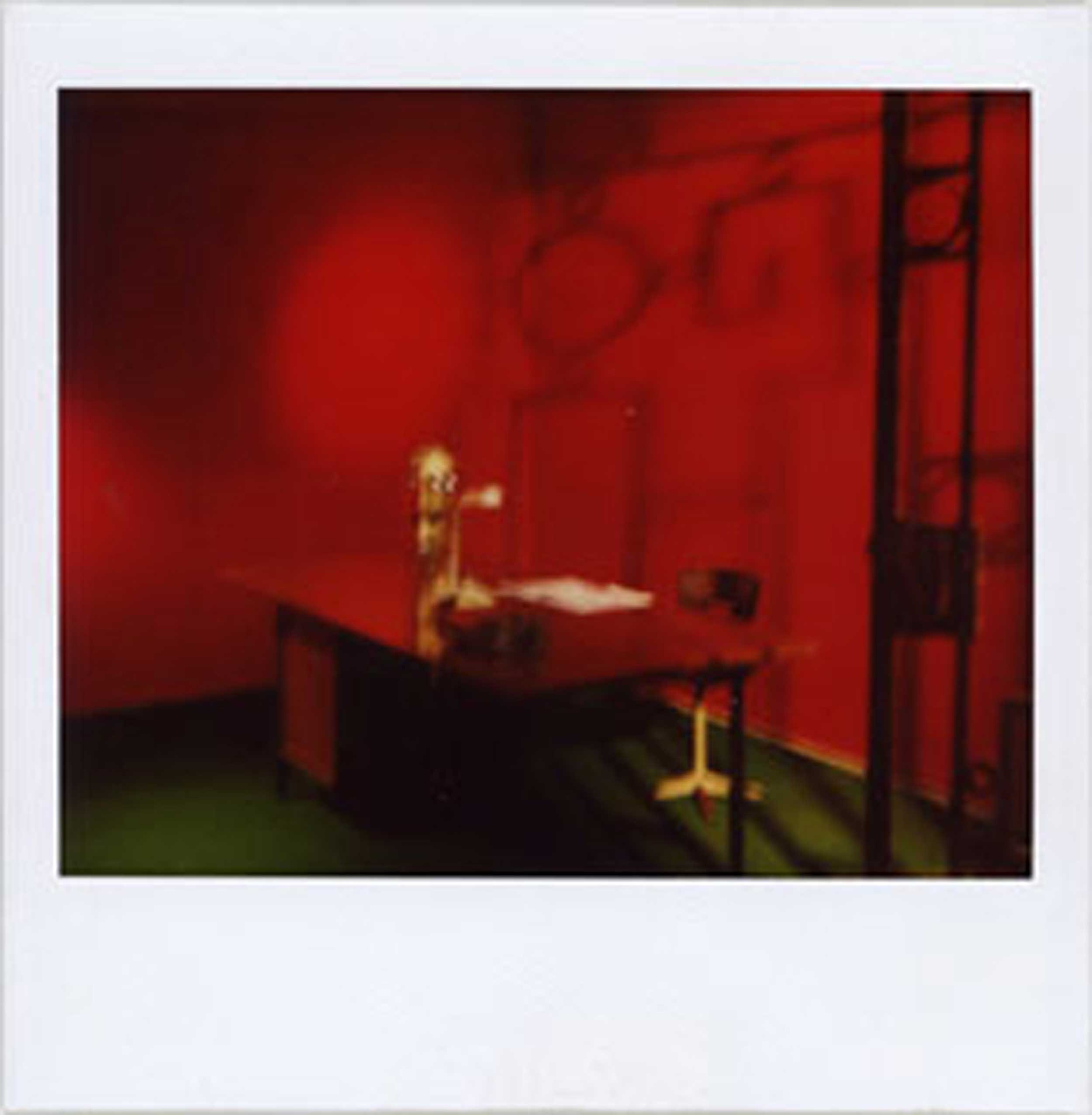 11_polaroid_PM_web.jpg