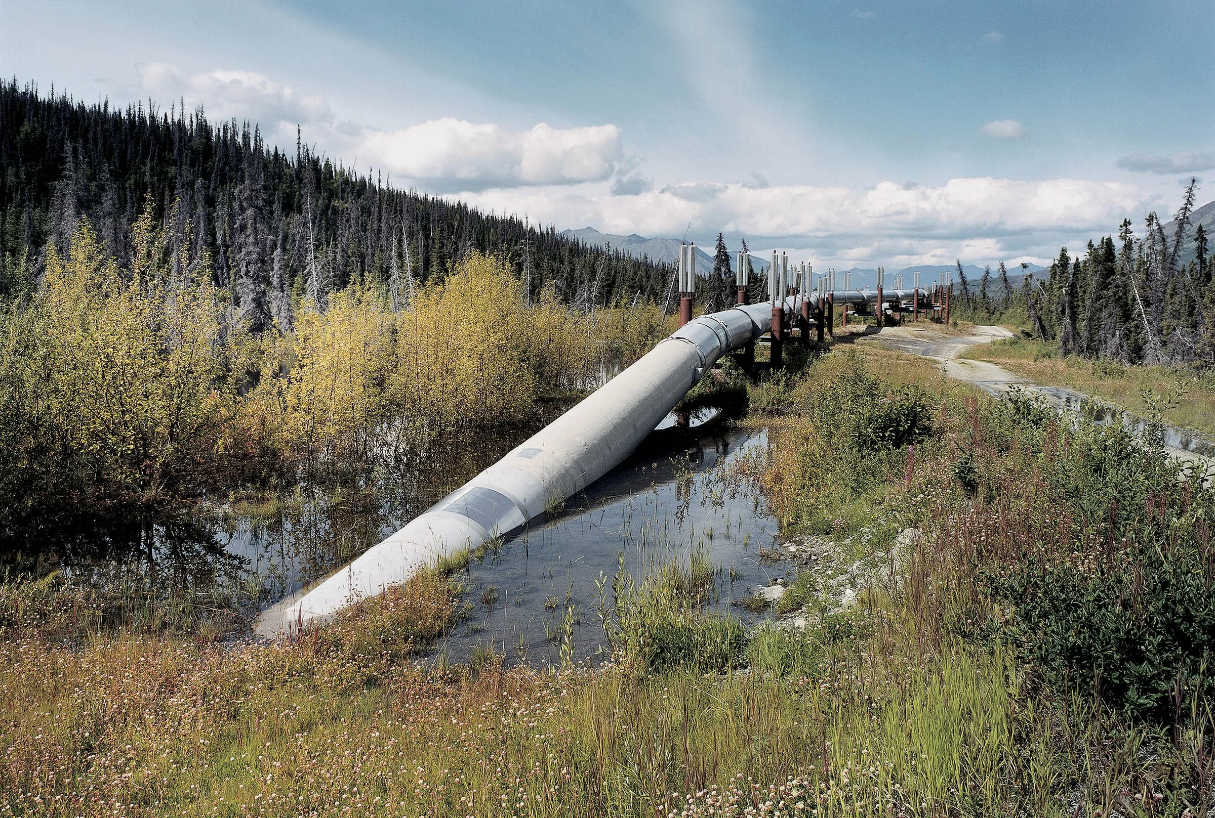 Alaska_Pipeline_North_of_Valdez_Alaska.jpg