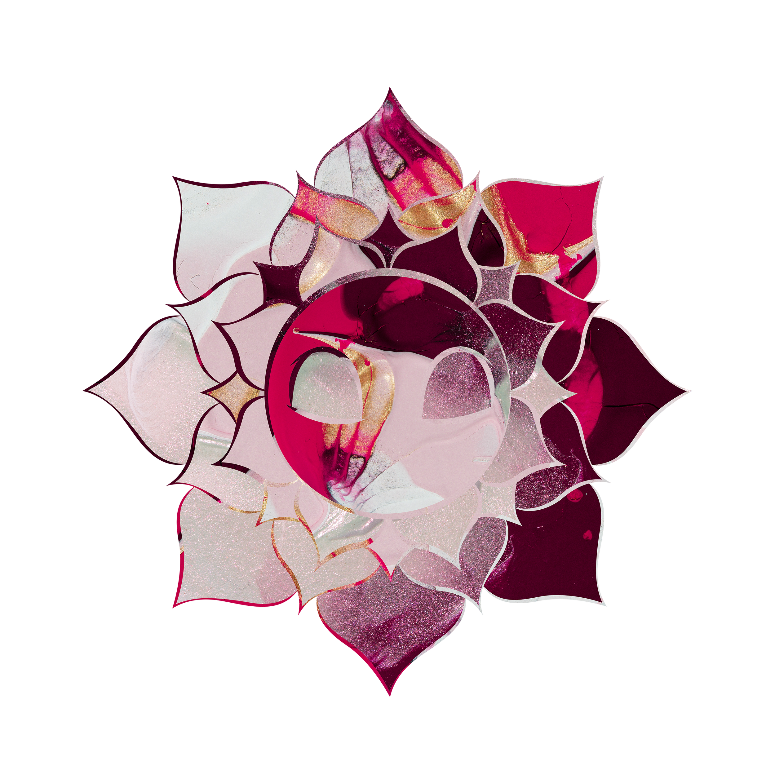 The lotus blossom