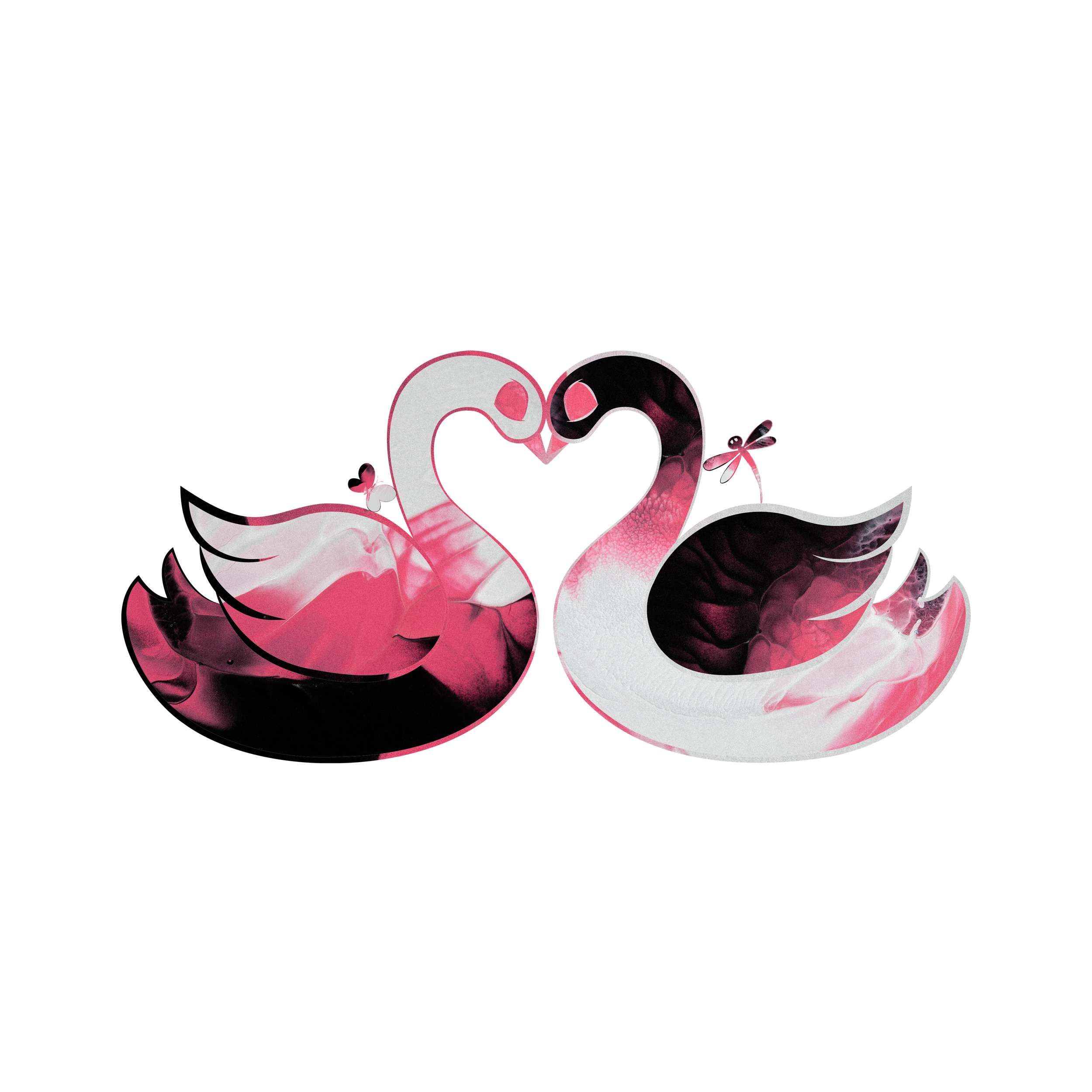 The swans