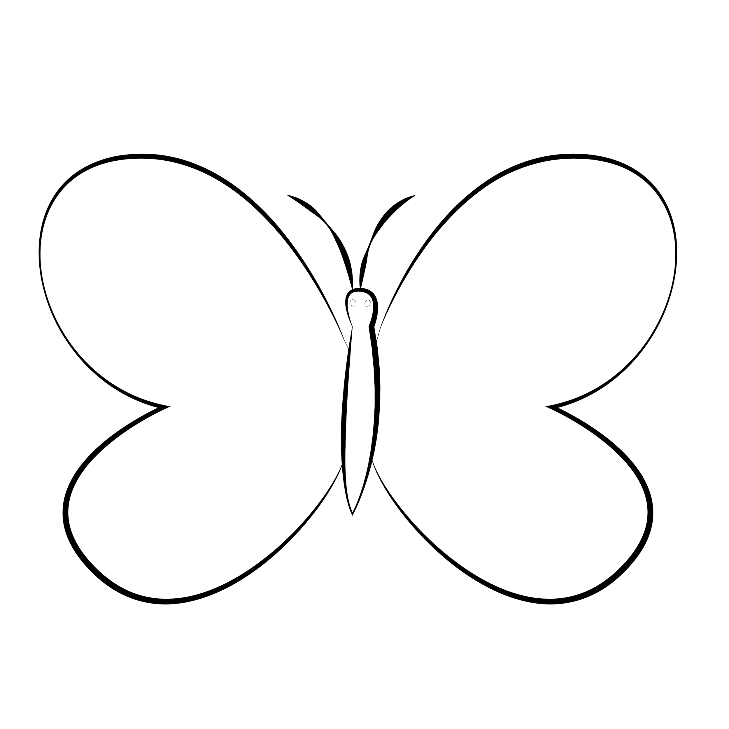 Butterfly