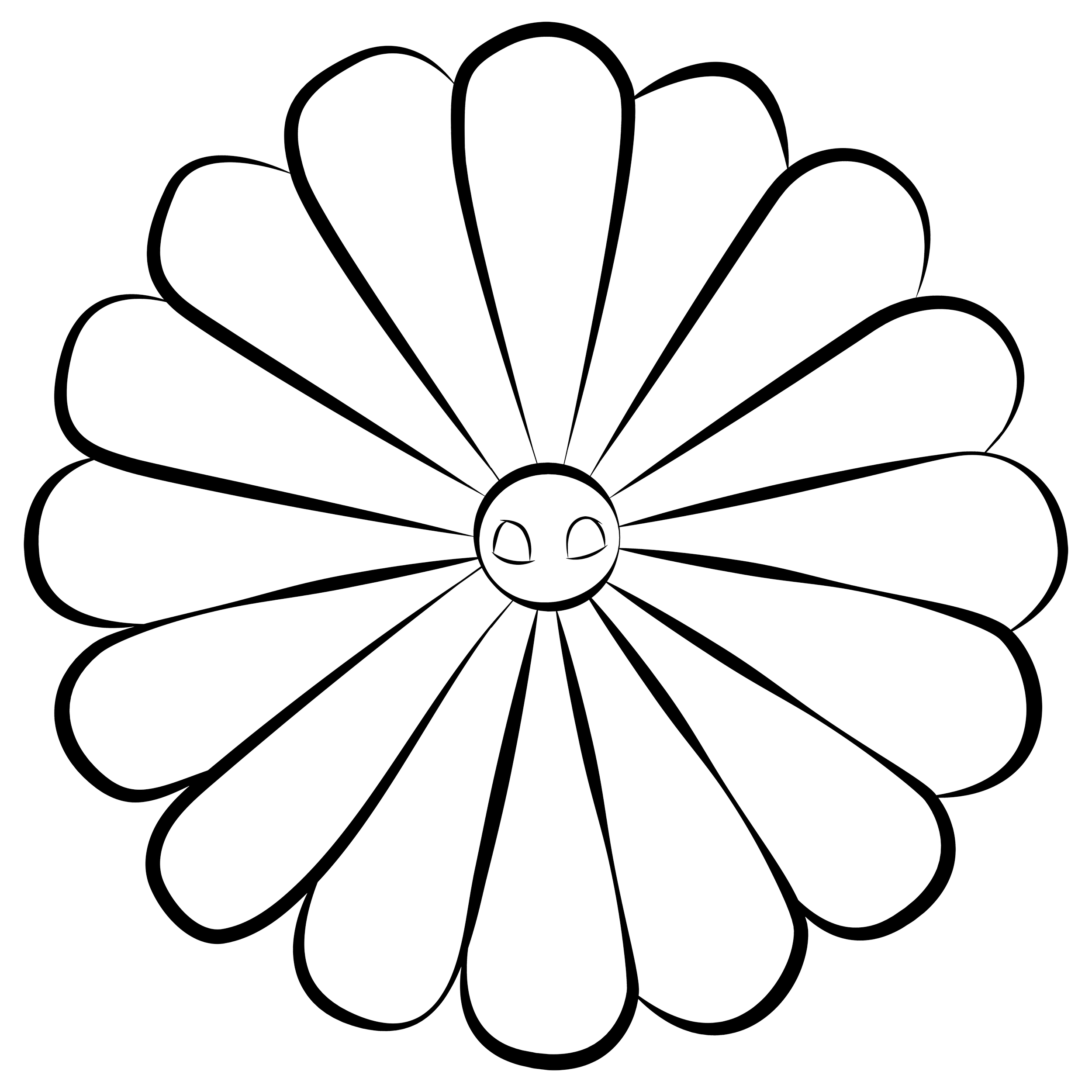 Chrysanthemum 