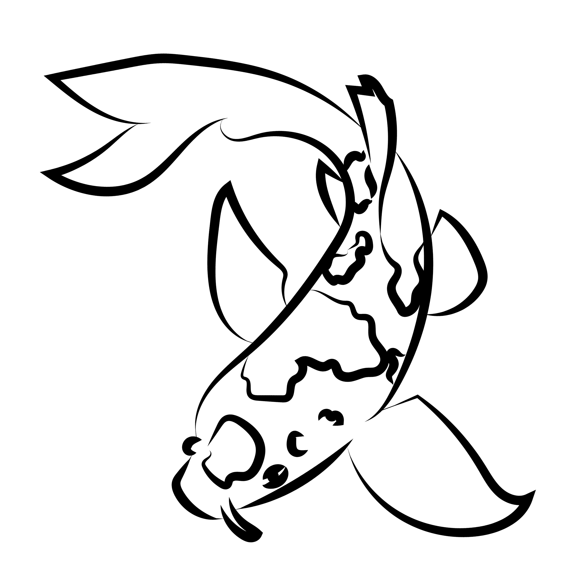 Koi fish
