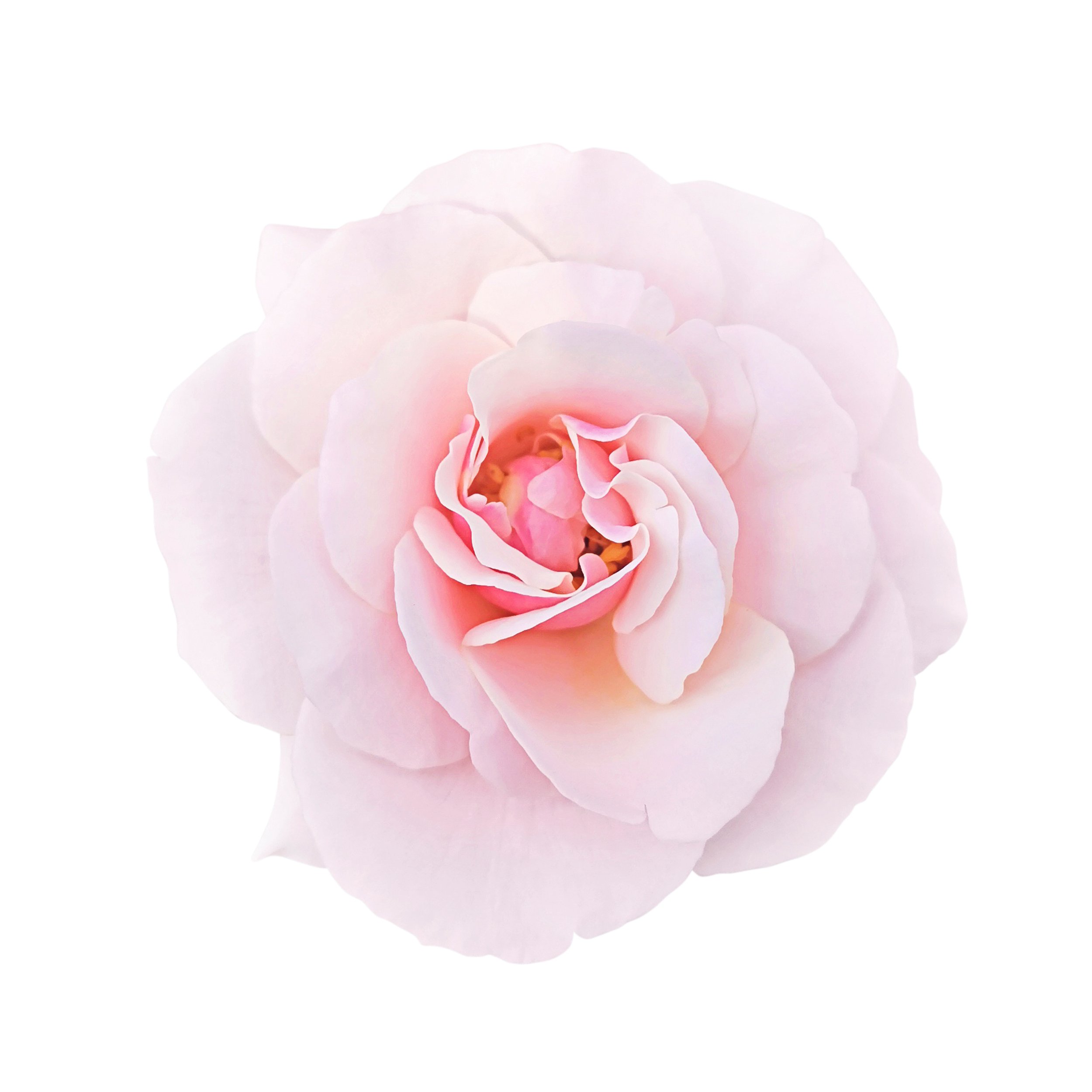 Gentleness