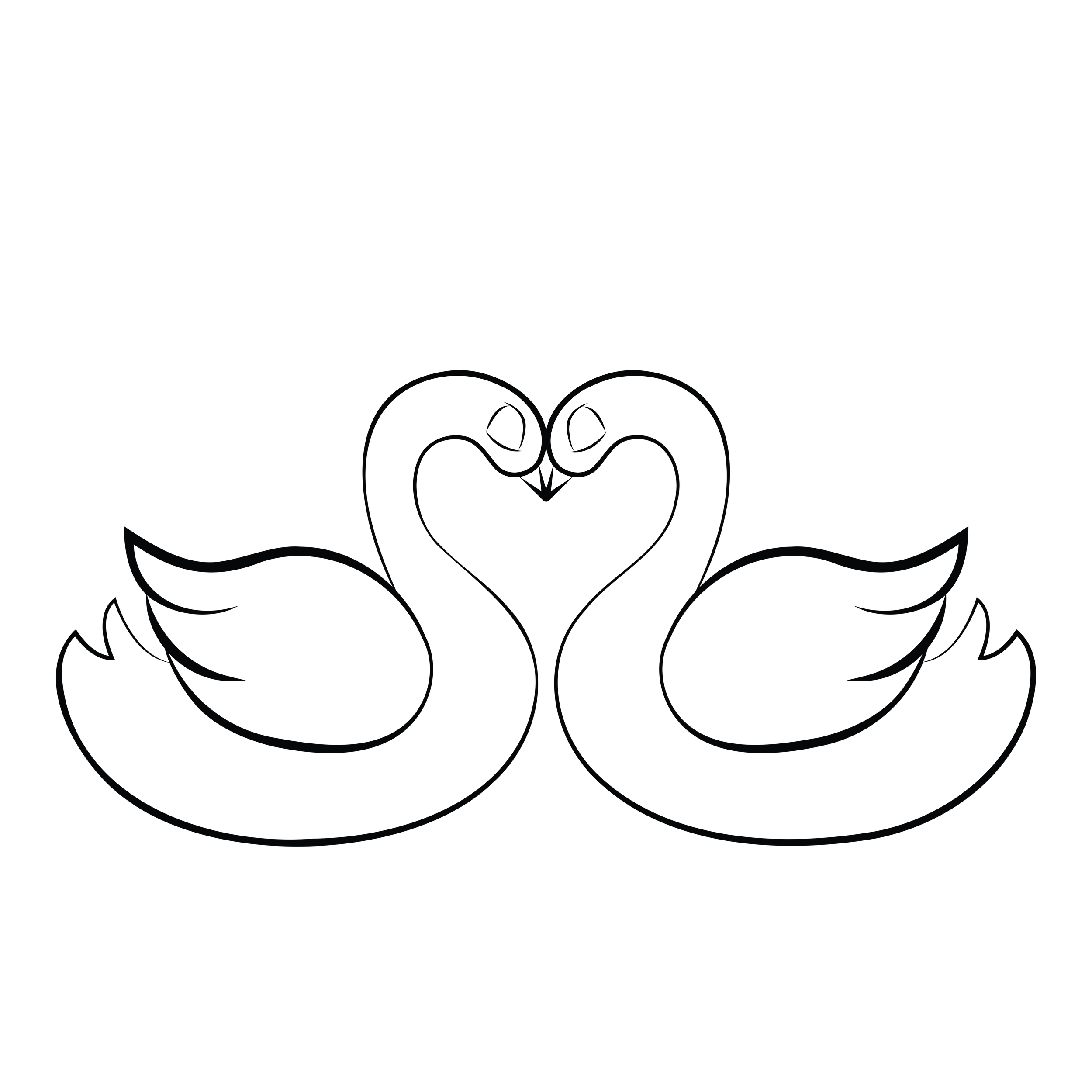 swans.png