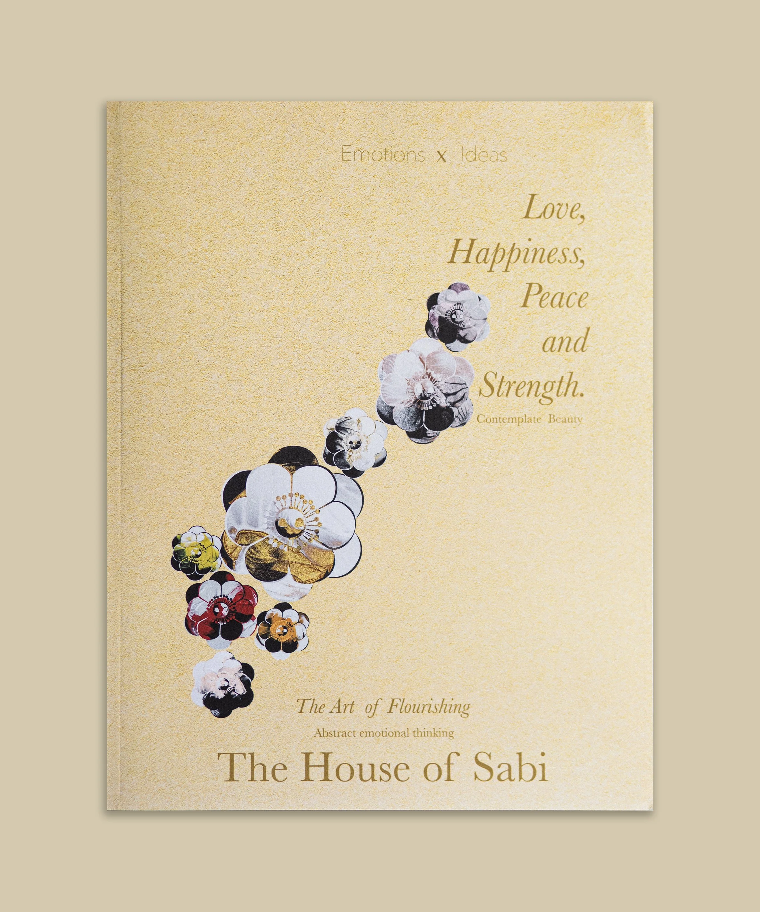 COVER VERSION IMAGE.jpg