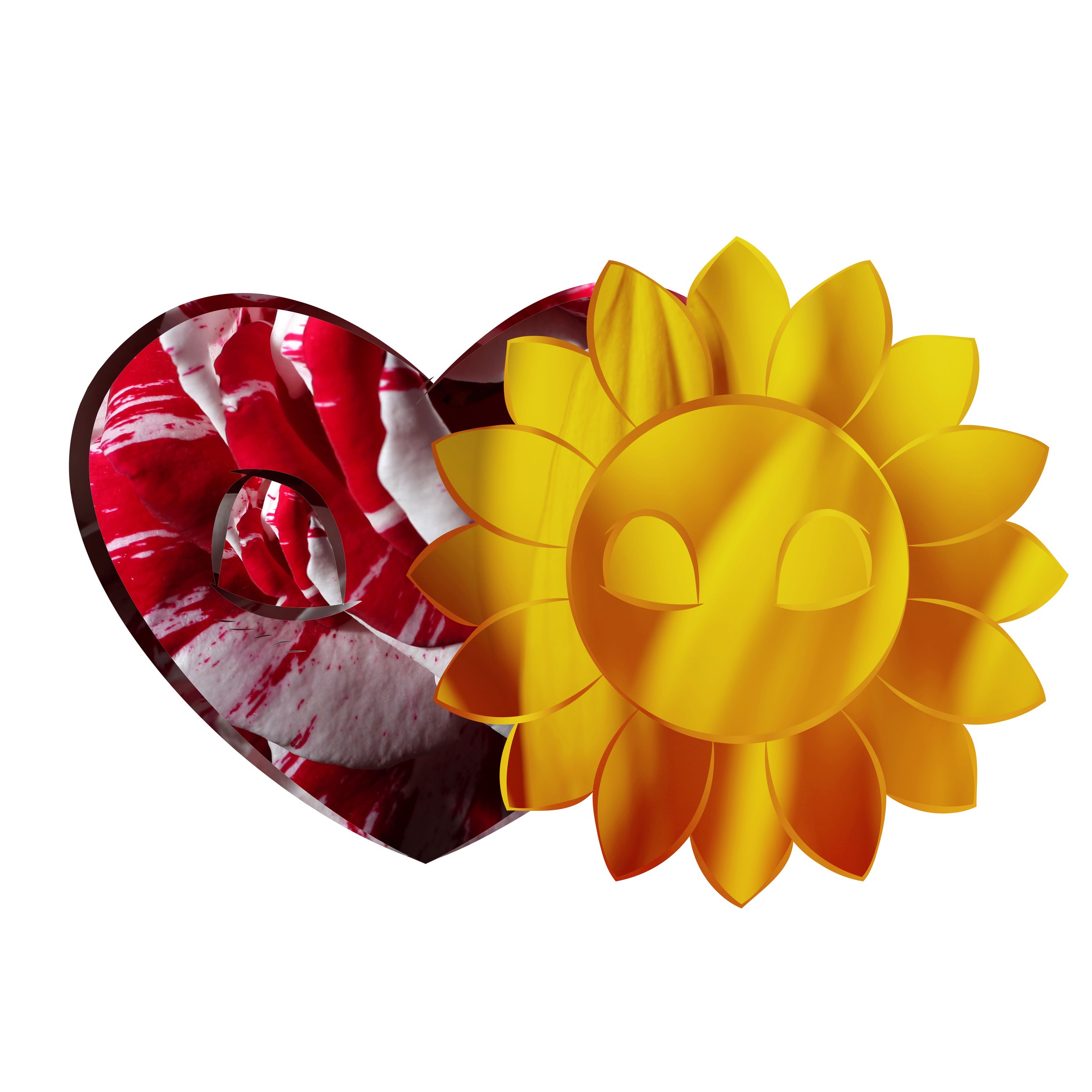 SUNFLOWER HEART.jpg