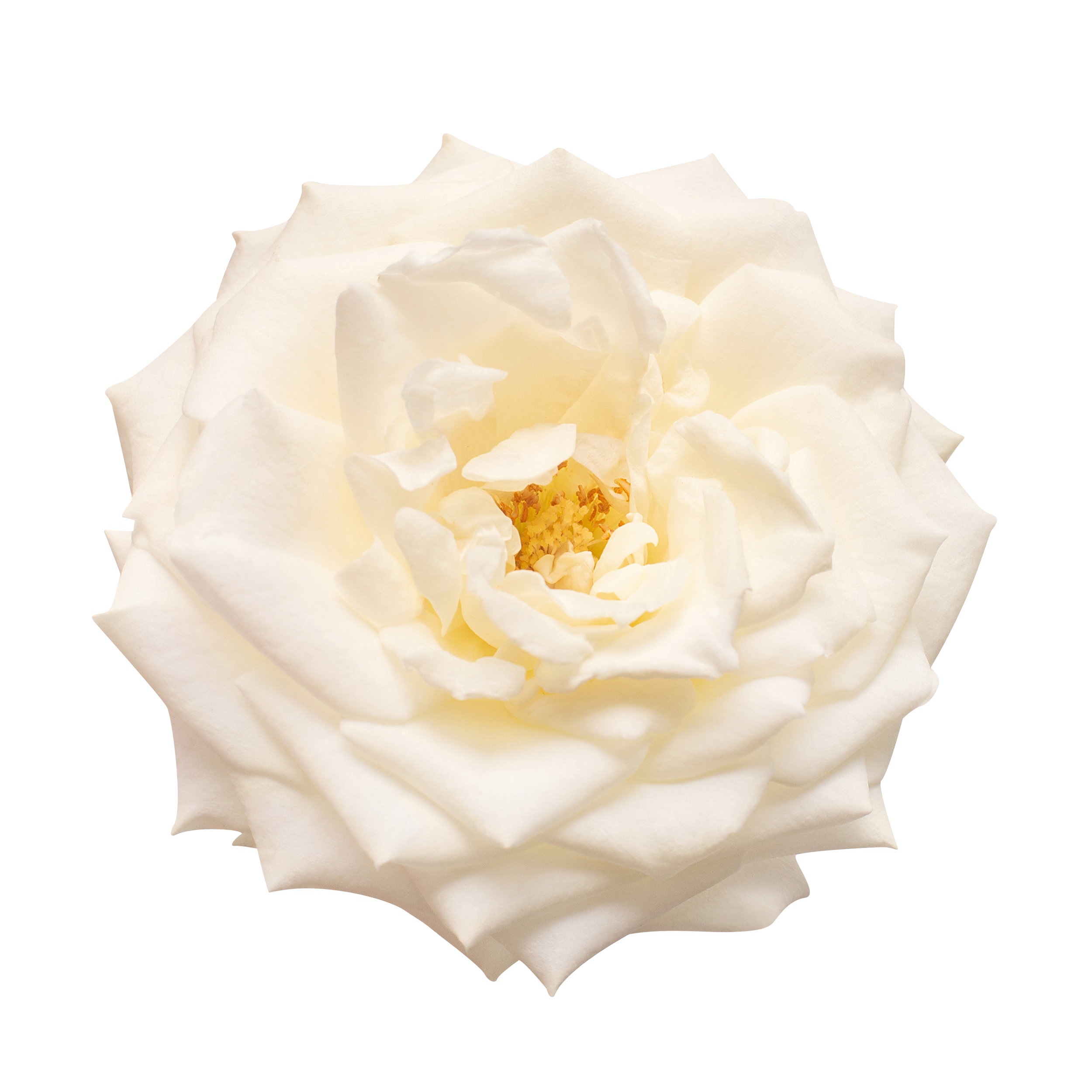 Purity