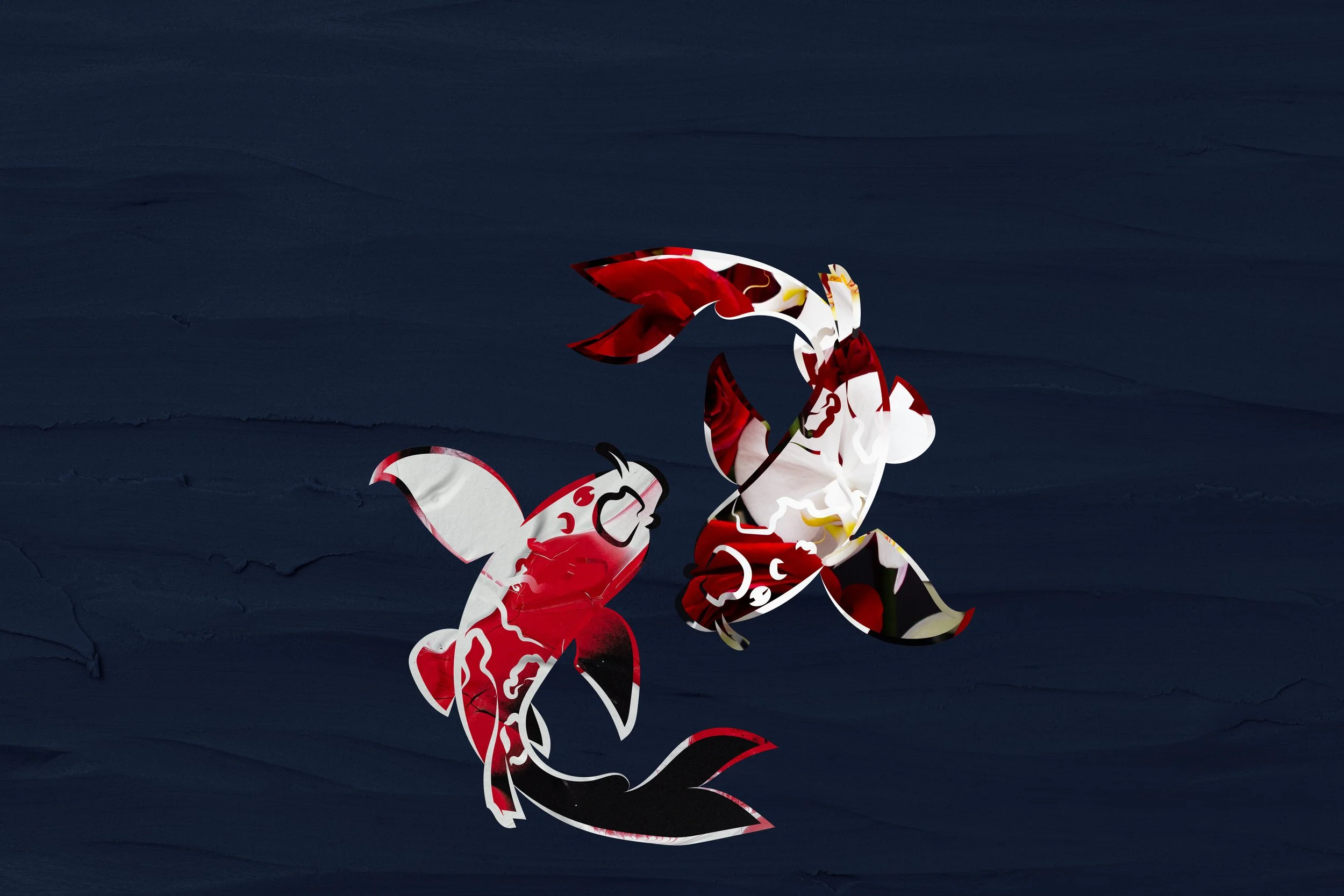 SABI3.jpg