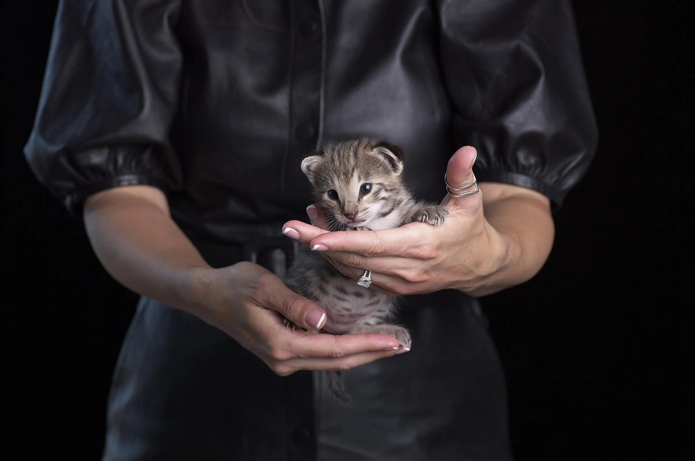 2025.05.13.KittenProgression00322.jpg