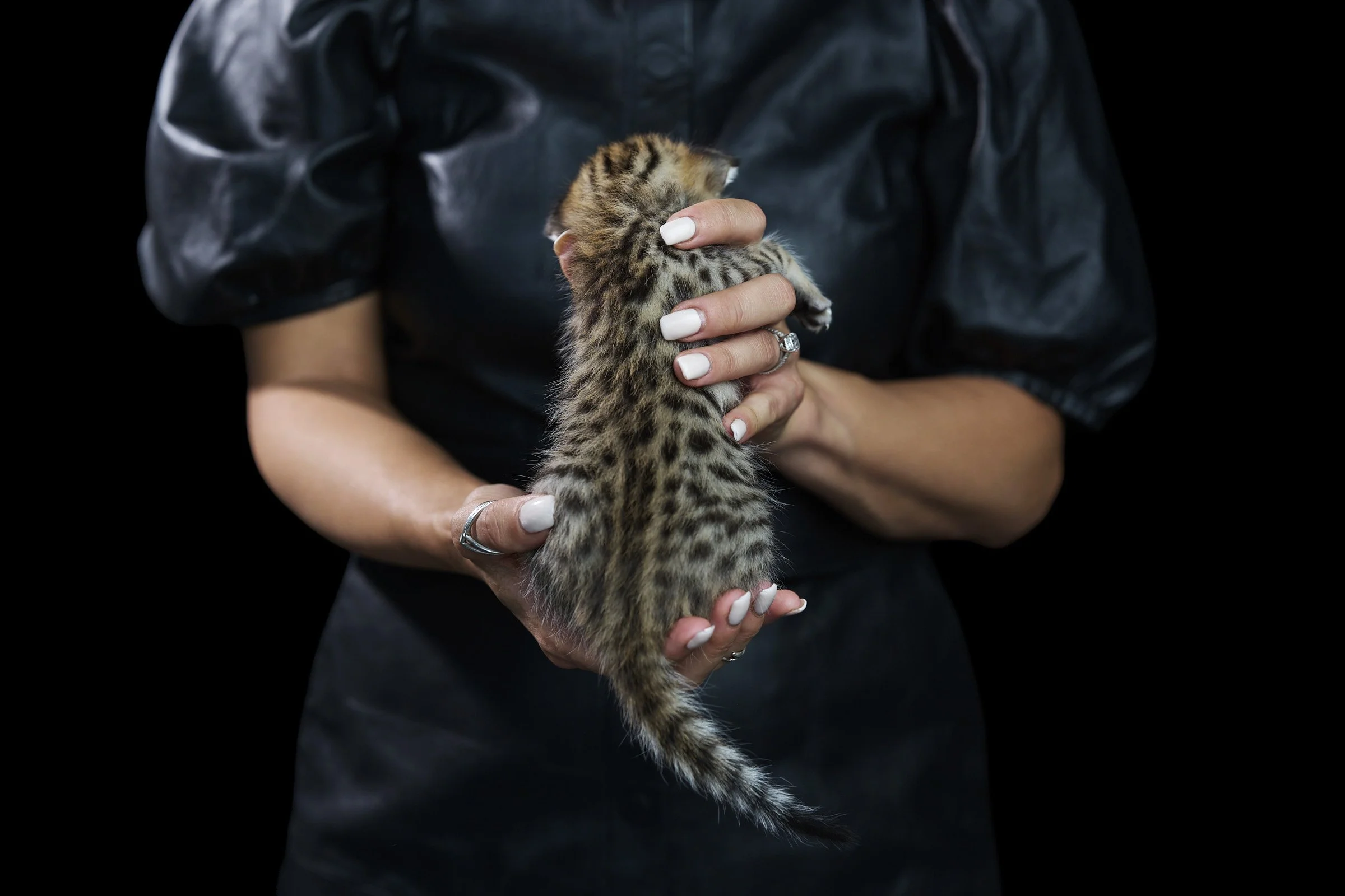 2026.07.13.Kitten.Panamera.Photos4888 copy.jpg