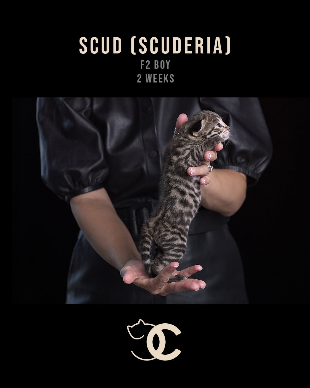 Scuderia (Scud)