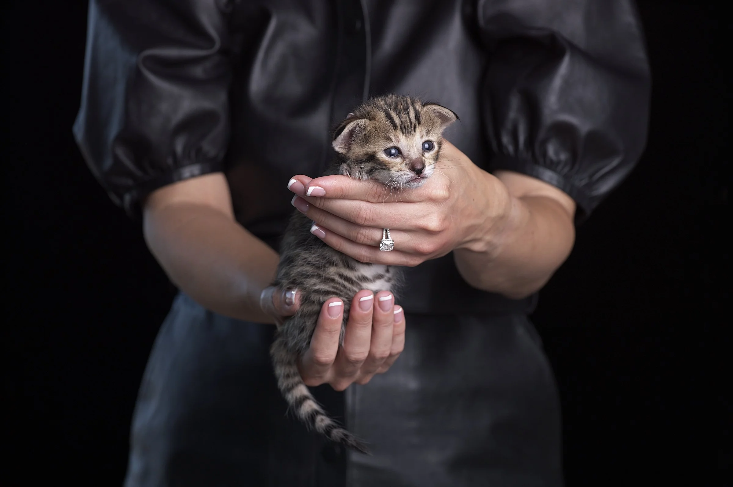 2025.05.13.KittenProgression00259.jpg