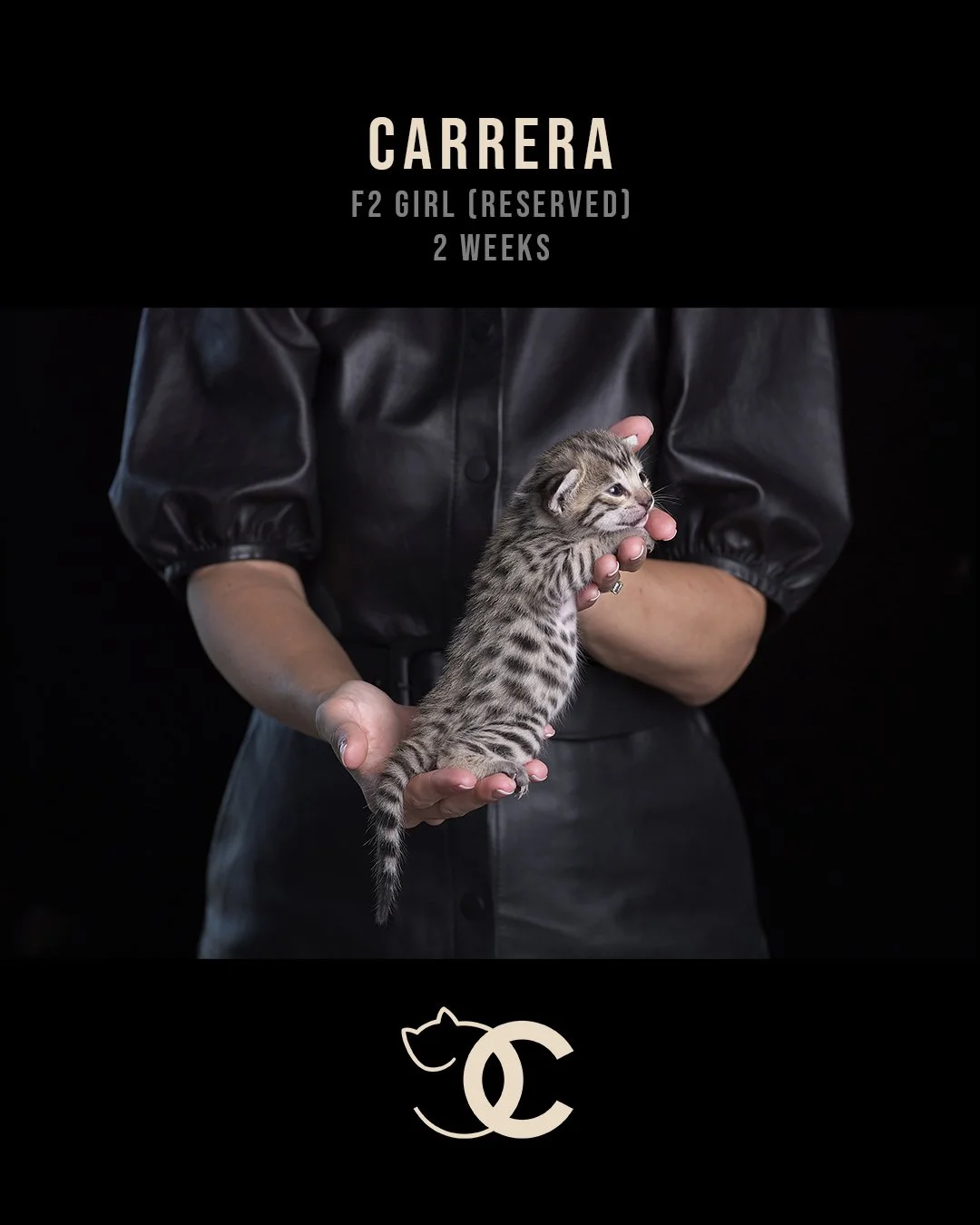 Carrera