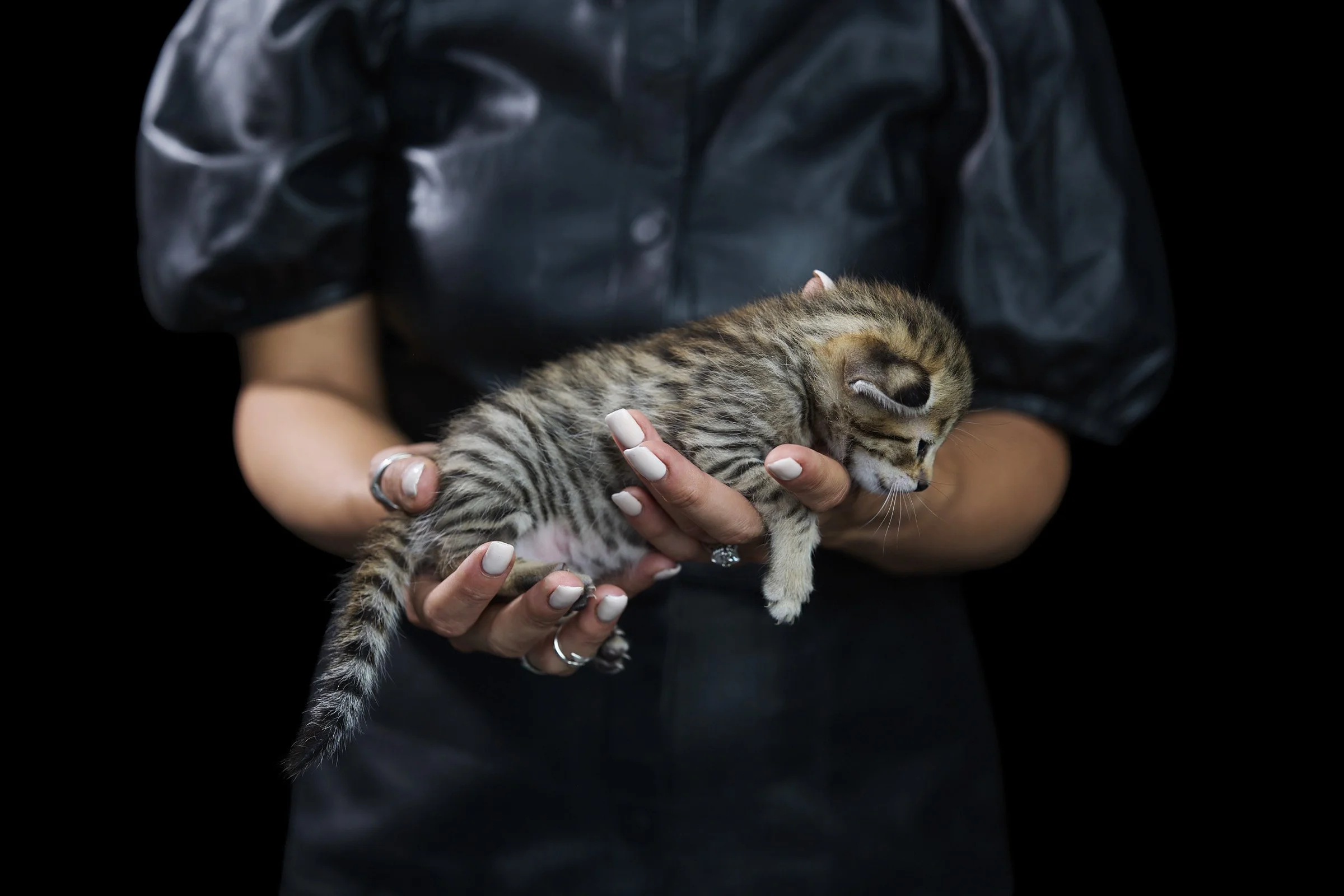 2026.07.13.Kitten.Panamera.Photos4893 copy.jpg
