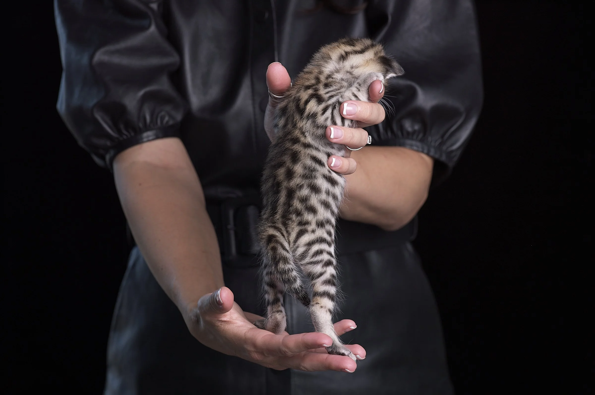 2025.05.13.KittenProgression00306.jpg