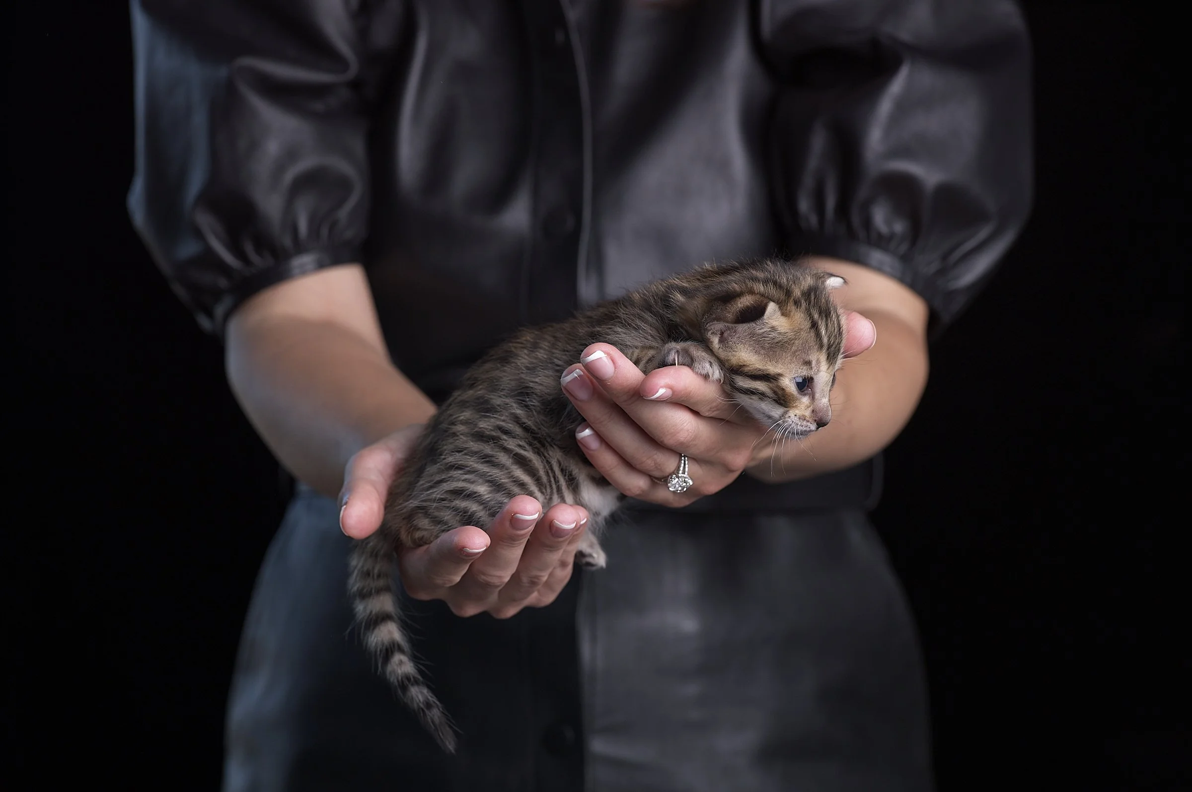 2025.05.13.KittenProgression00239.jpg