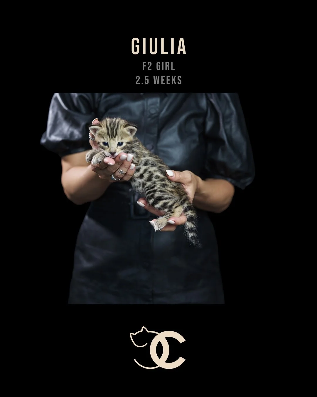 Giulia