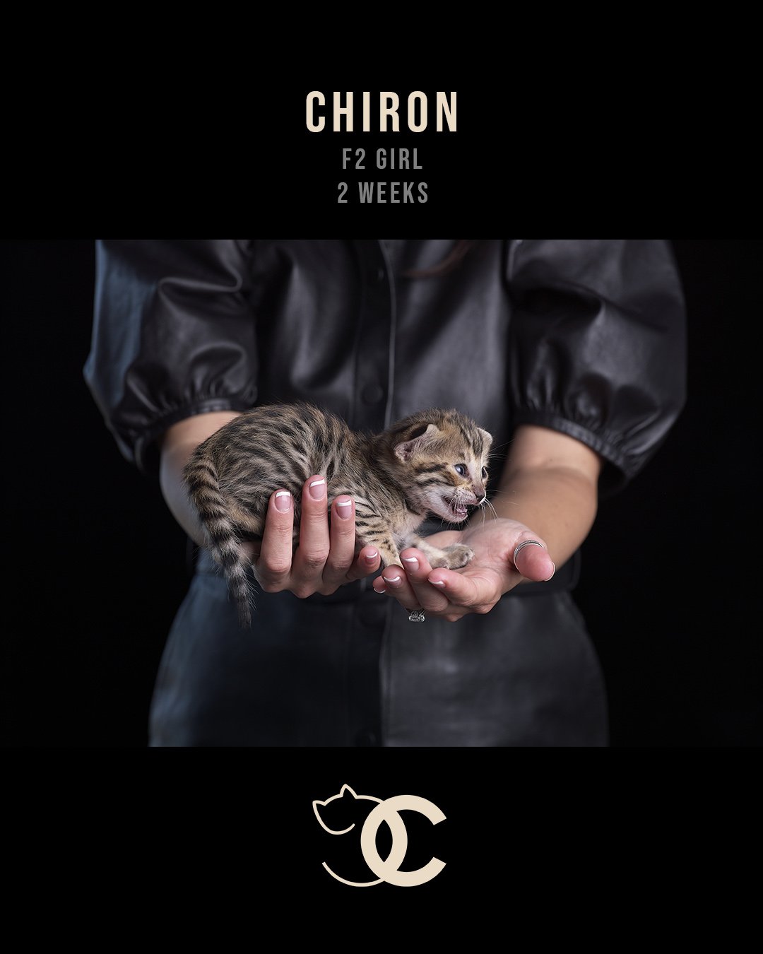 Chiron 2 weeks.jpg