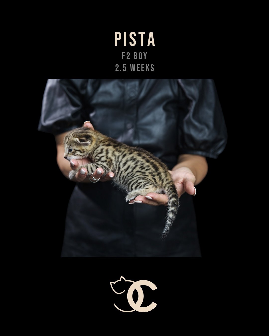 Pista 2.5 weeks.jpg