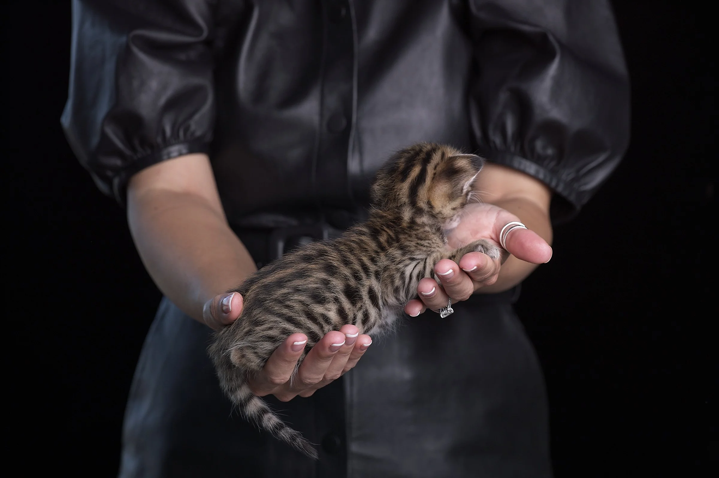 2025.05.13.KittenProgression00247.jpg