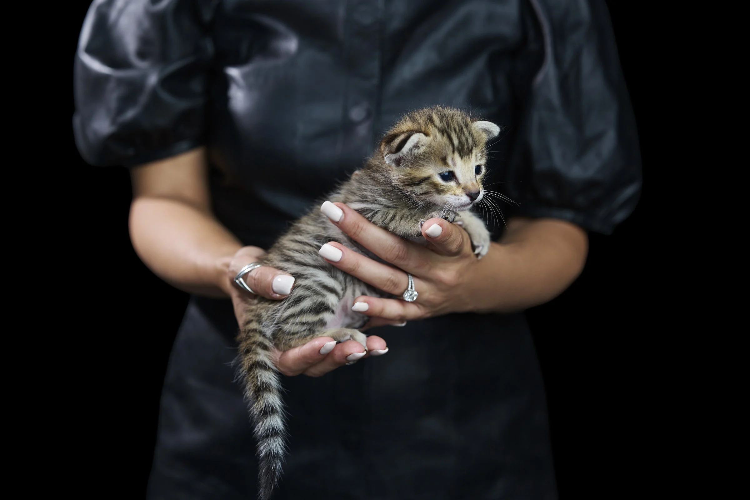 2026.07.13.Kitten.Panamera.Photos4894 copy.jpg