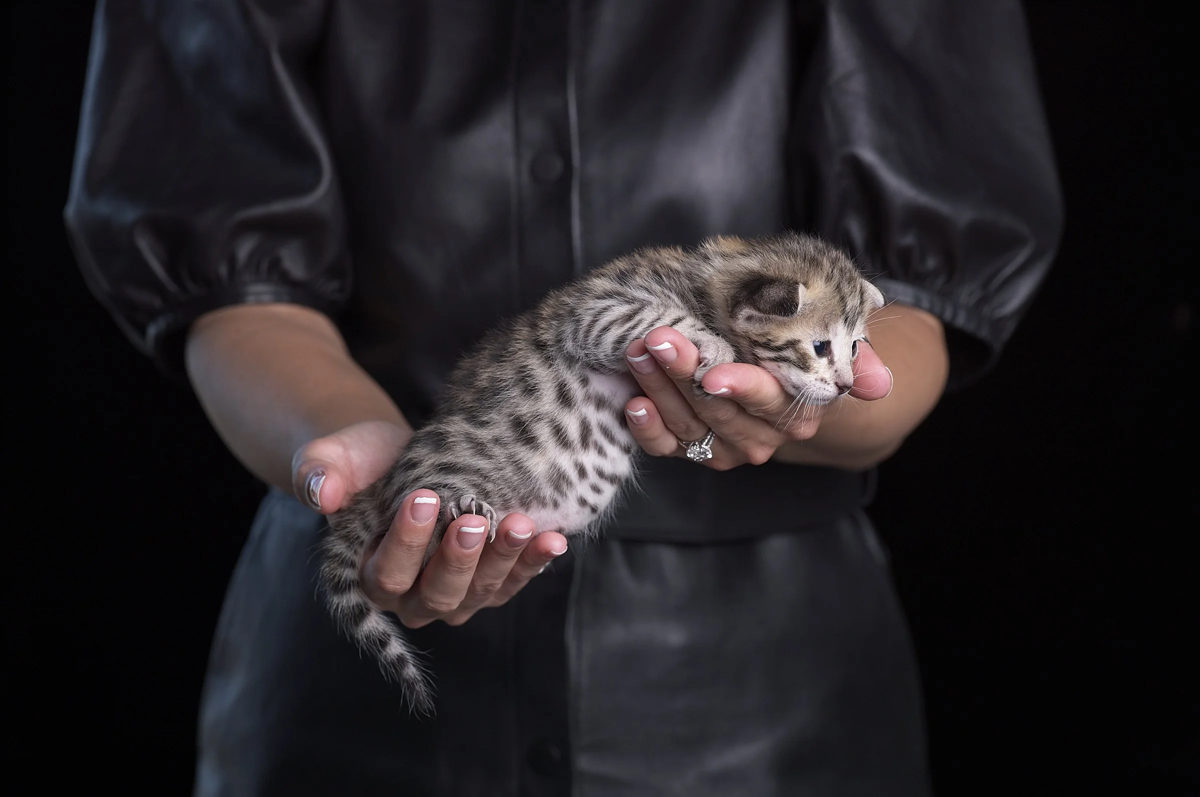 2025.05.13.KittenProgression00276.jpg