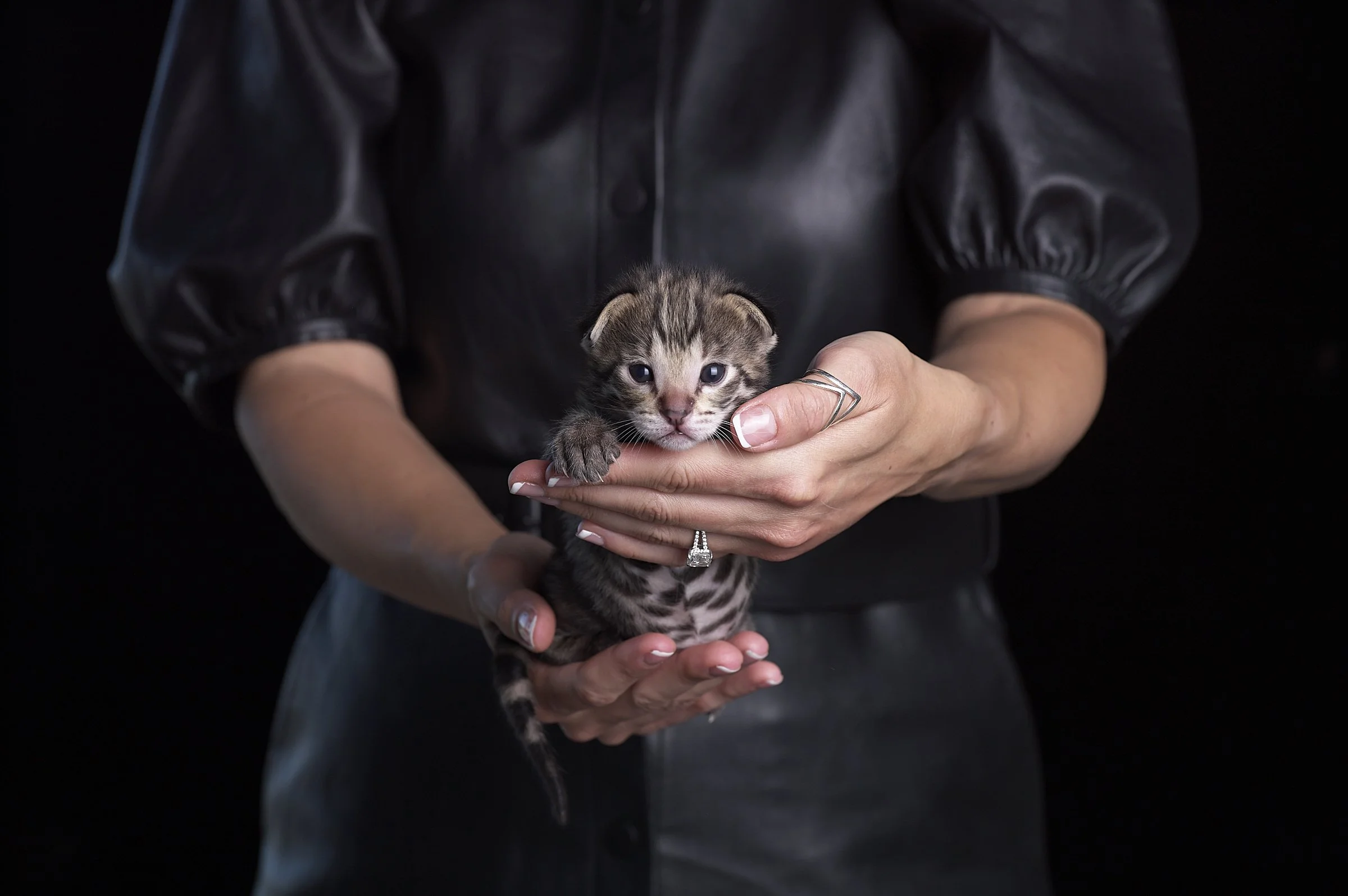 2025.05.13.KittenProgression00381.jpg