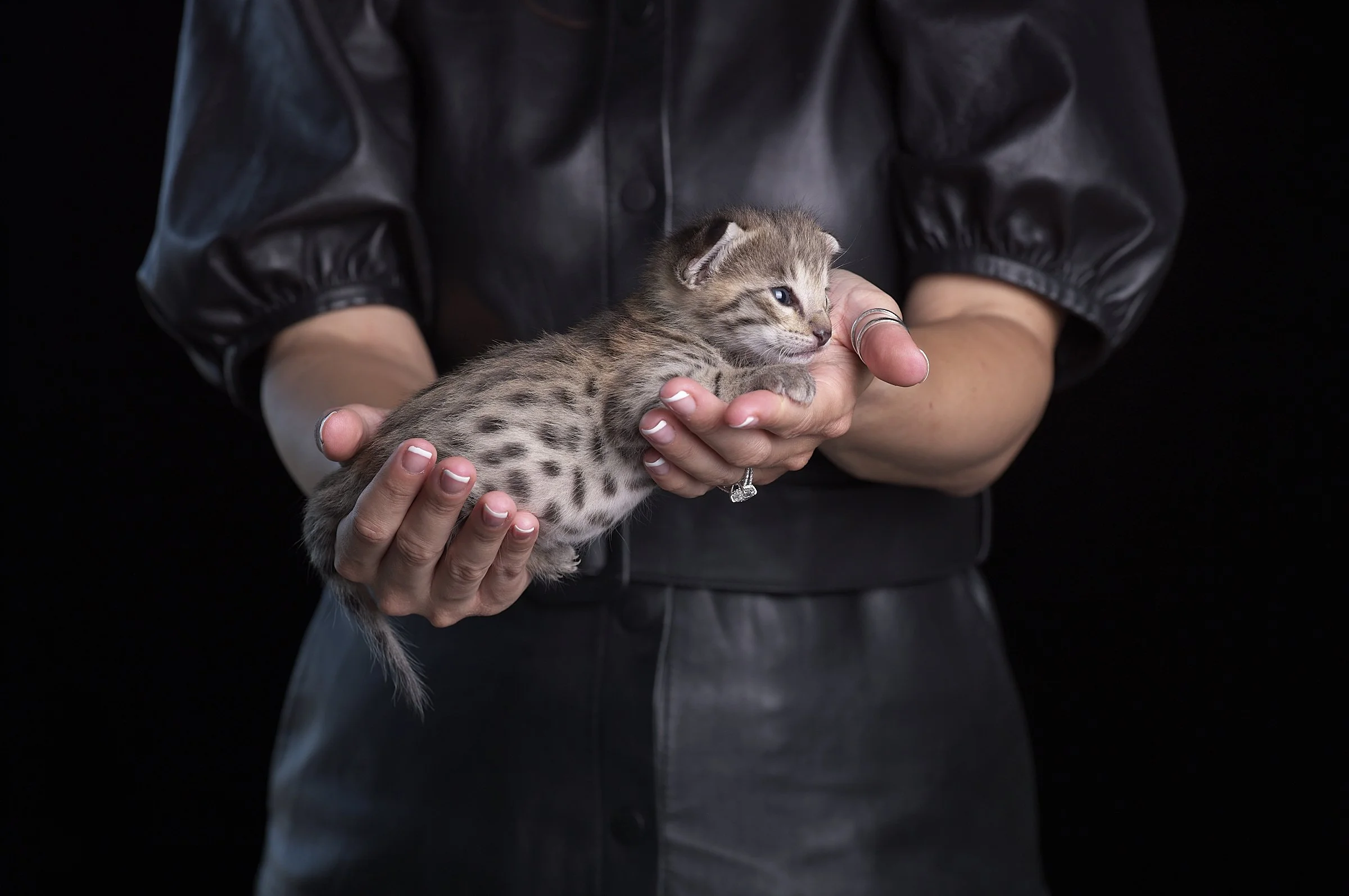 2025.05.13.KittenProgression00308.jpg