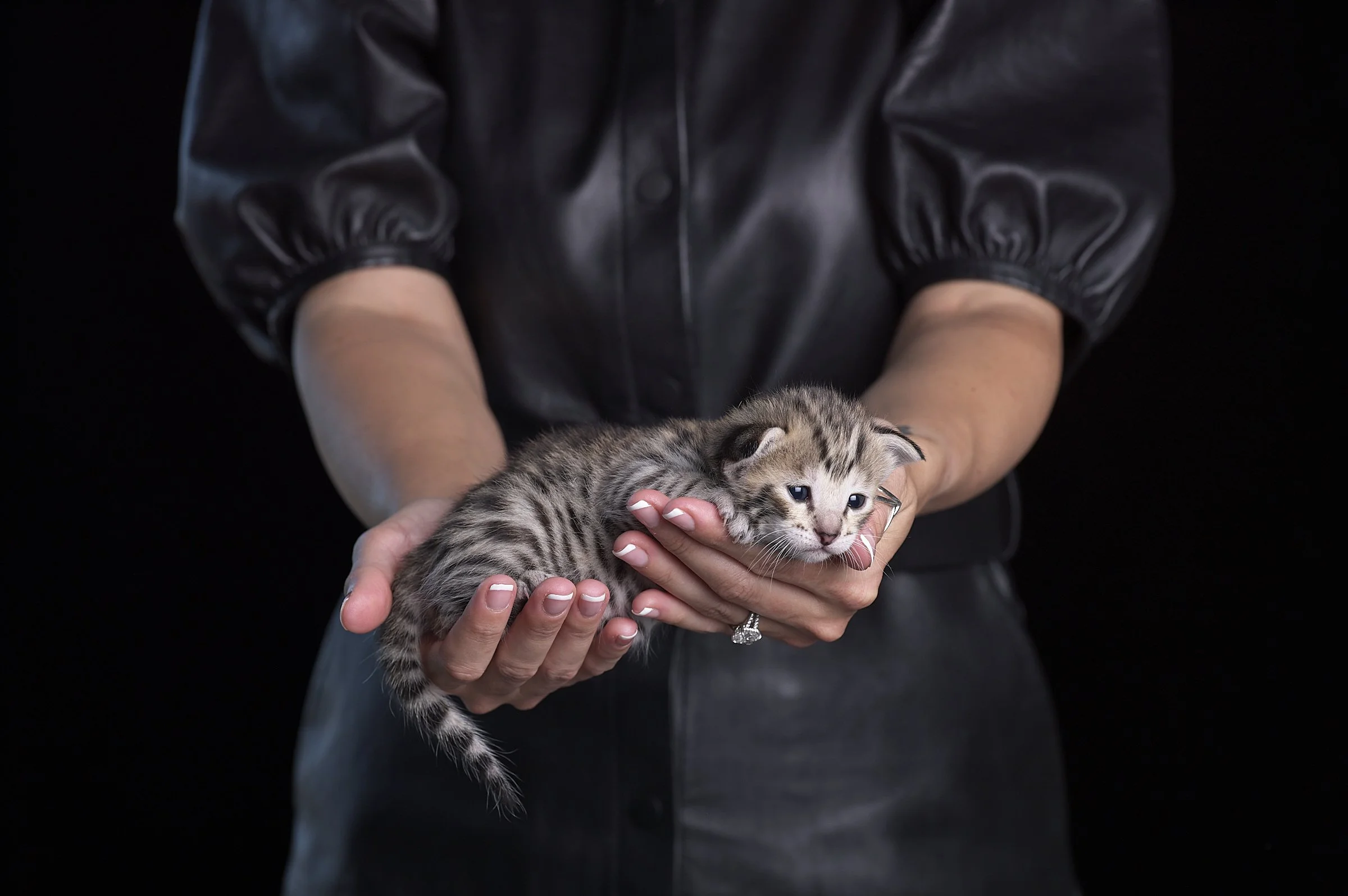 2025.05.13.KittenProgression00297.jpg