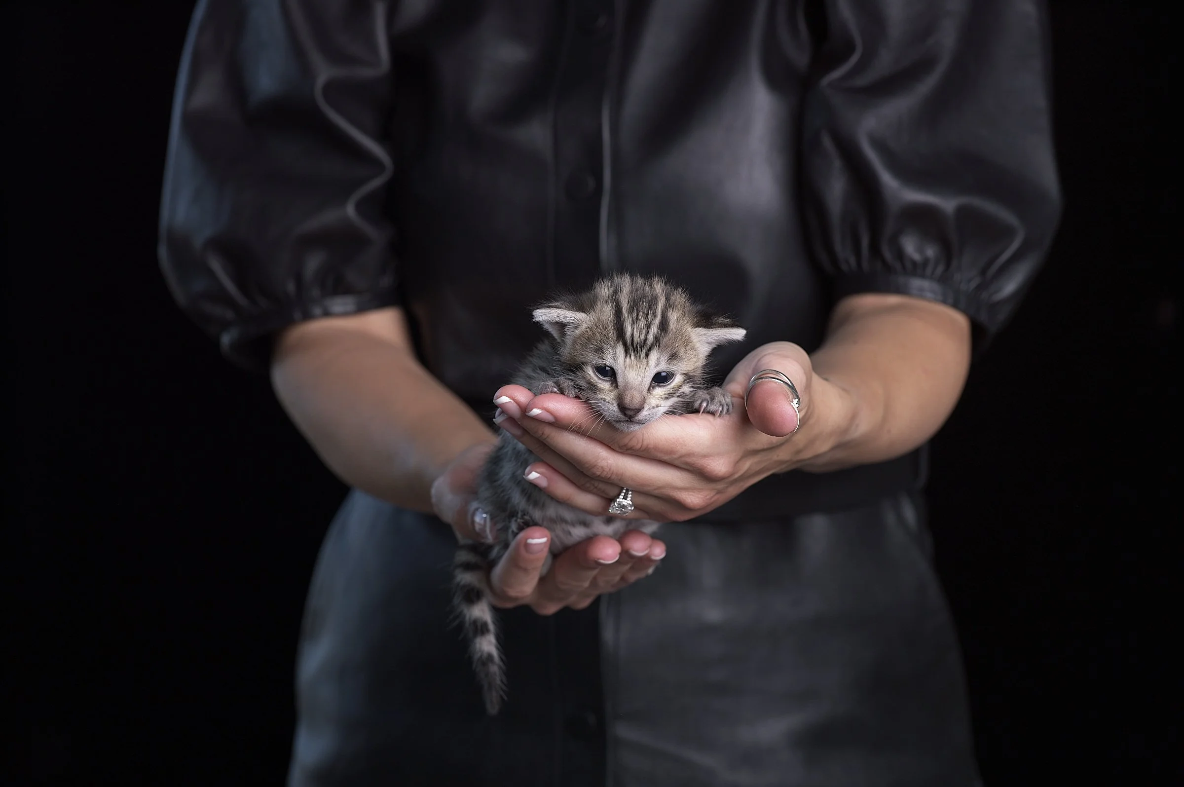 2025.05.13.KittenProgression00354.jpg