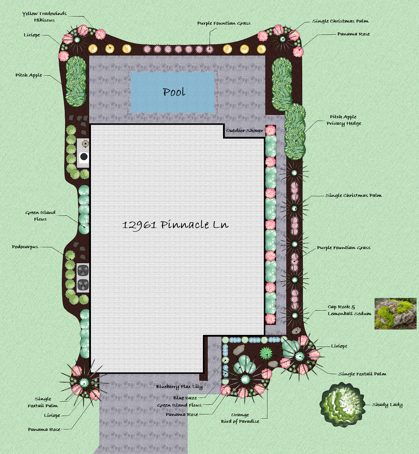 Landscape garden plan featuring a pool, various trees, shrubs, flowers, and designated areas such as outdoor shower and privacy hedge, with handwritten labels for plant types and decorative elements.