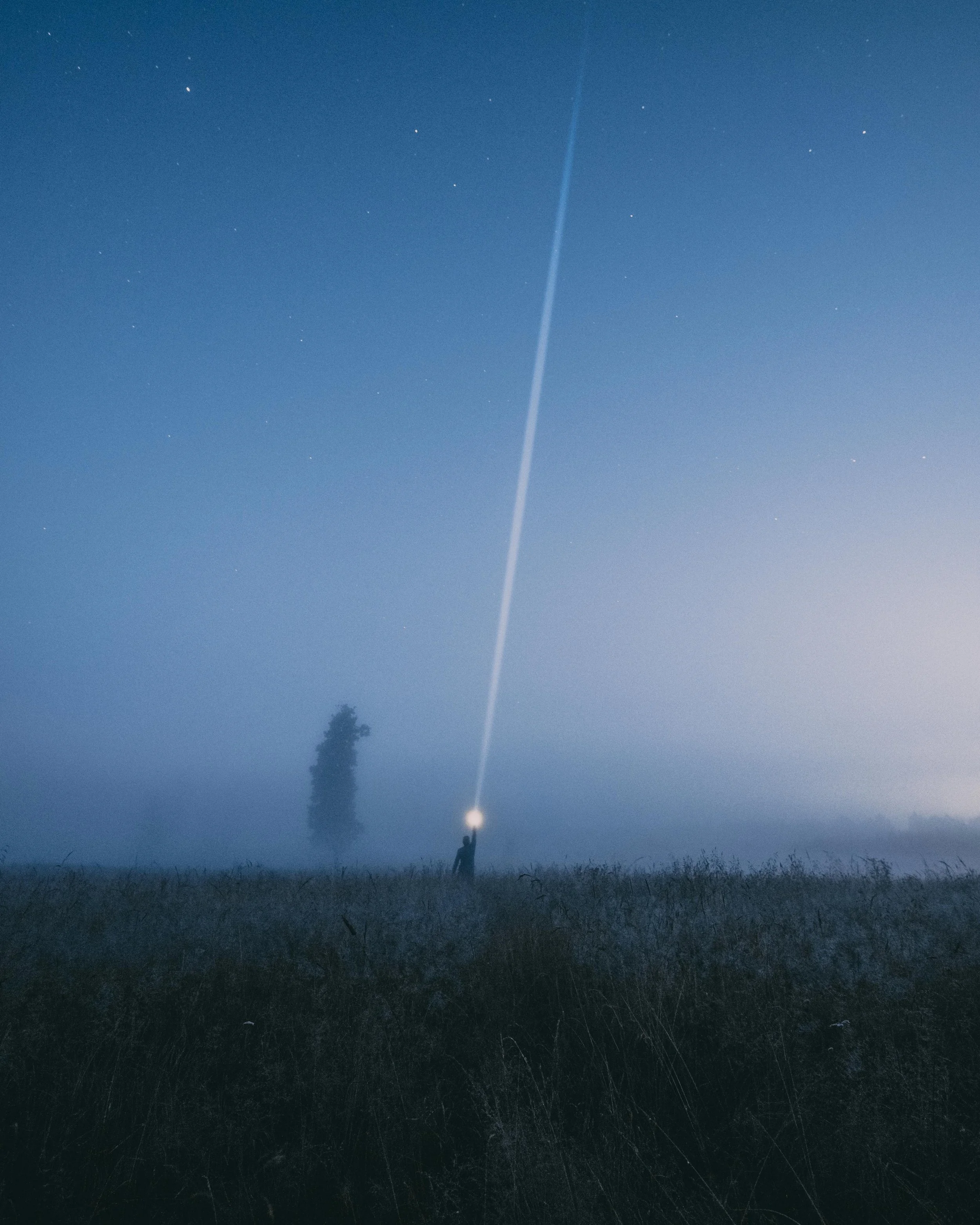 Nurturing the Soul: Embracing Awe, Wonder, and Amazement in Psychotherapy