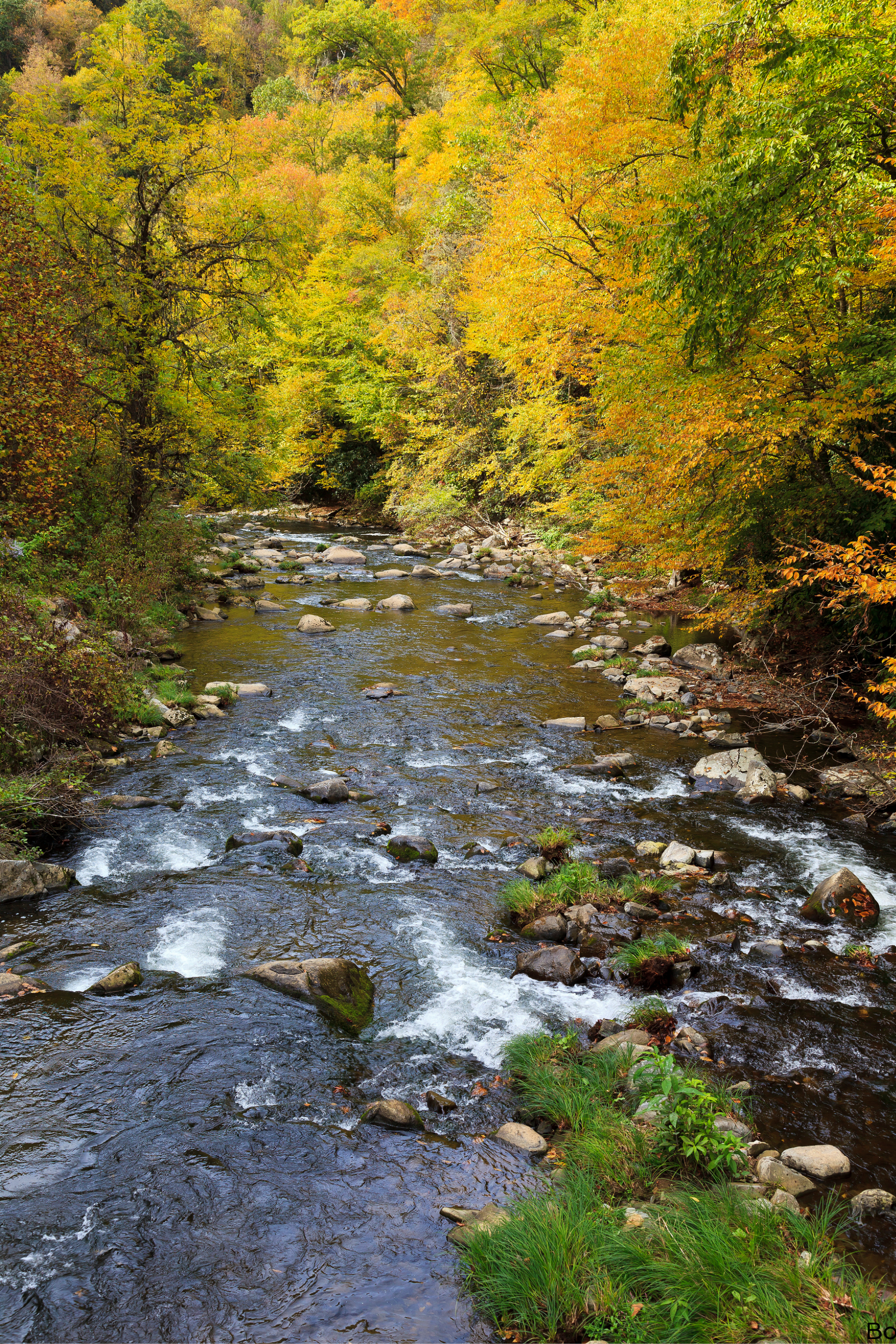 Untitled design (37).png