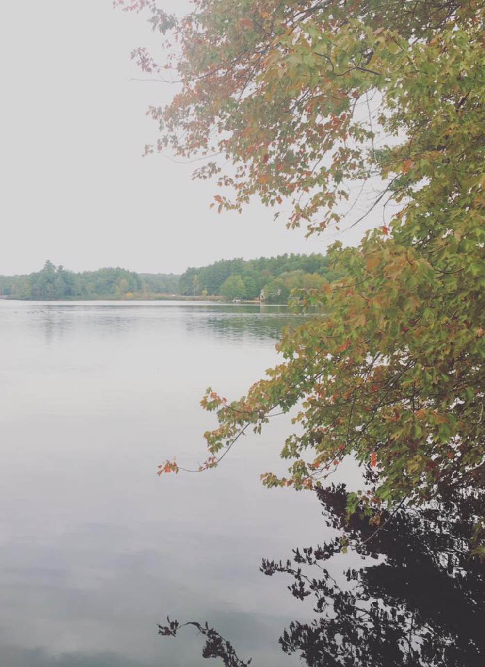 The magic of the messy middle in life + business