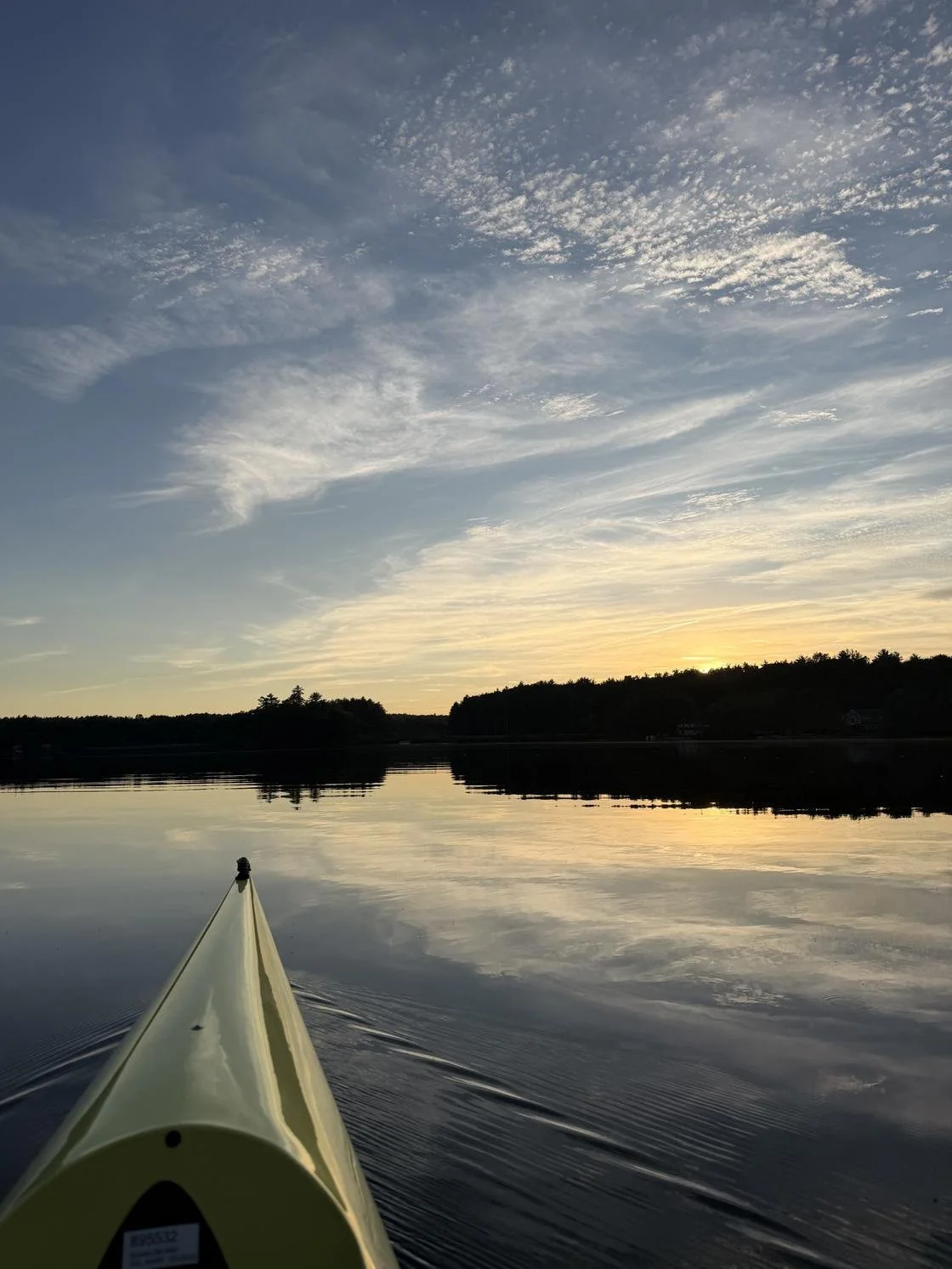 my summer love affair + the neuroscience of the yap