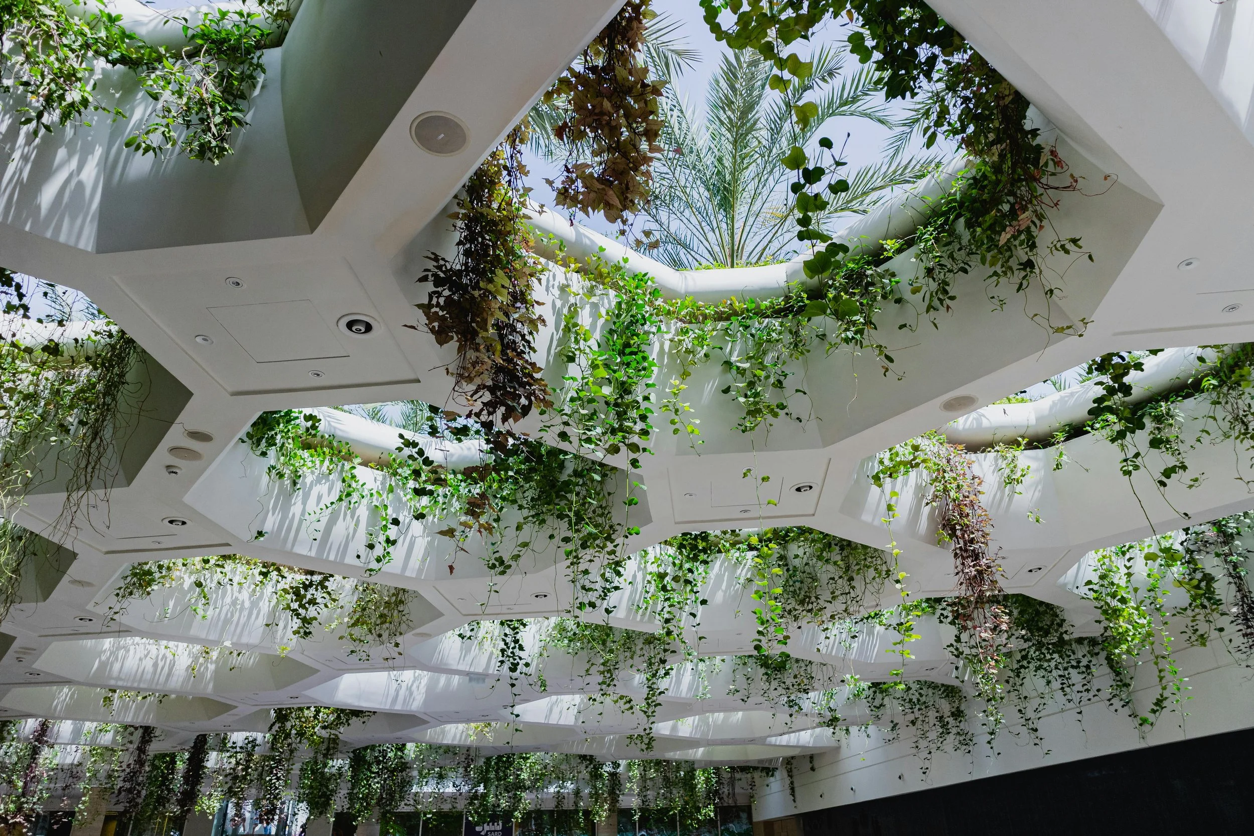 Beyond the Desk: How Biophilic Design is Transforming London Offices