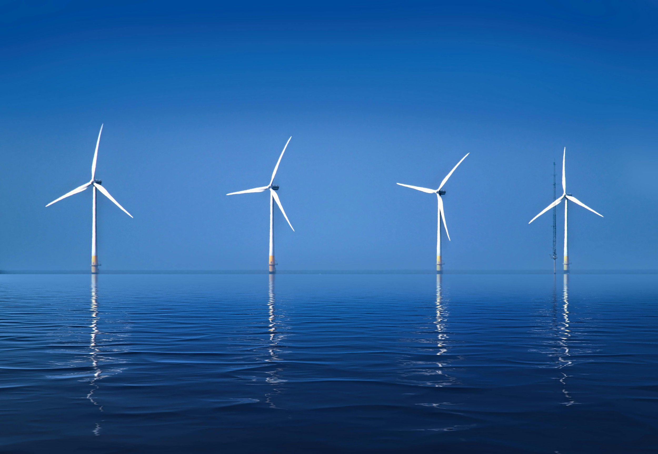 100% Renewable: How Your Office Energy Choice Impacts Your Carbon Footprint