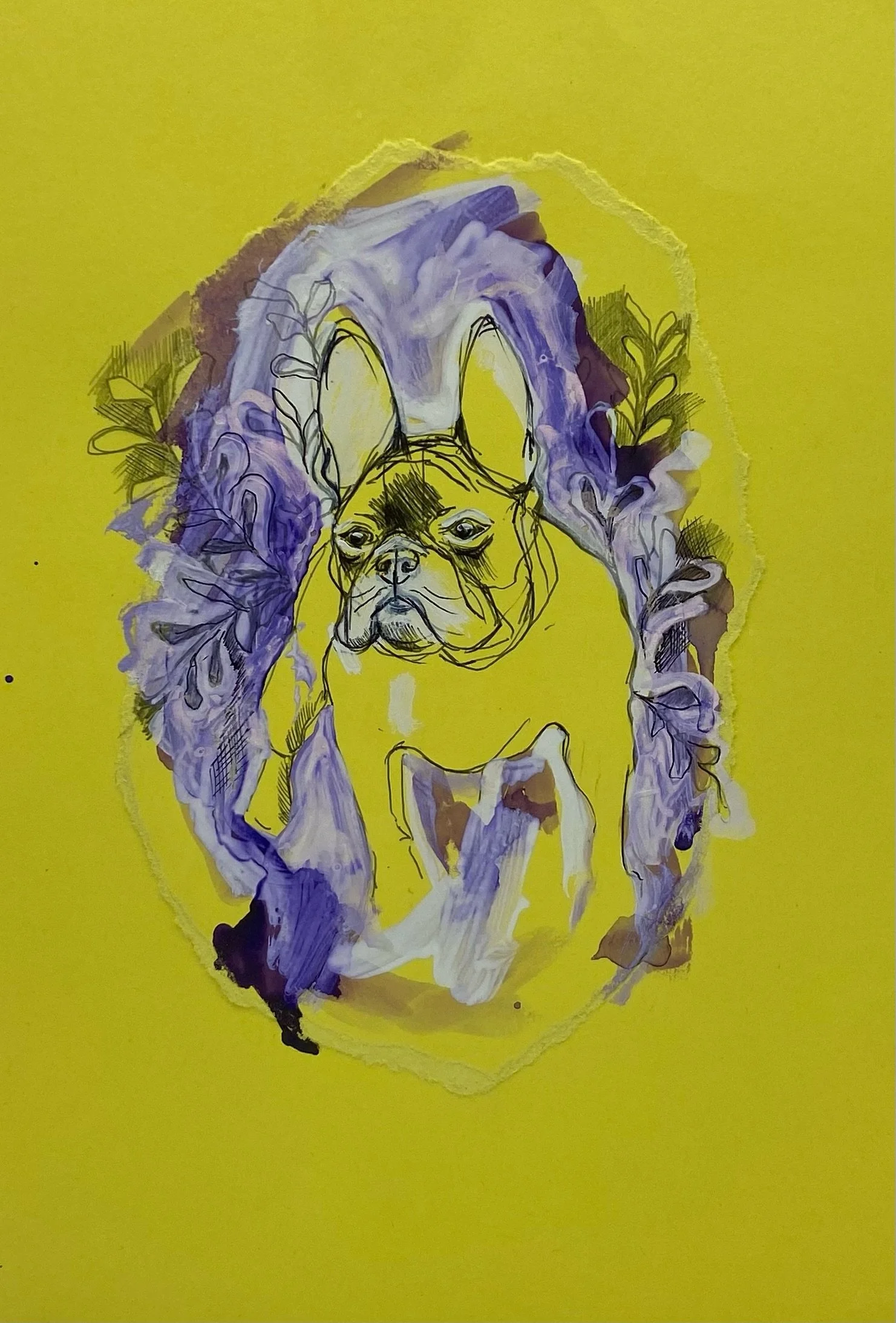 French Bulldog