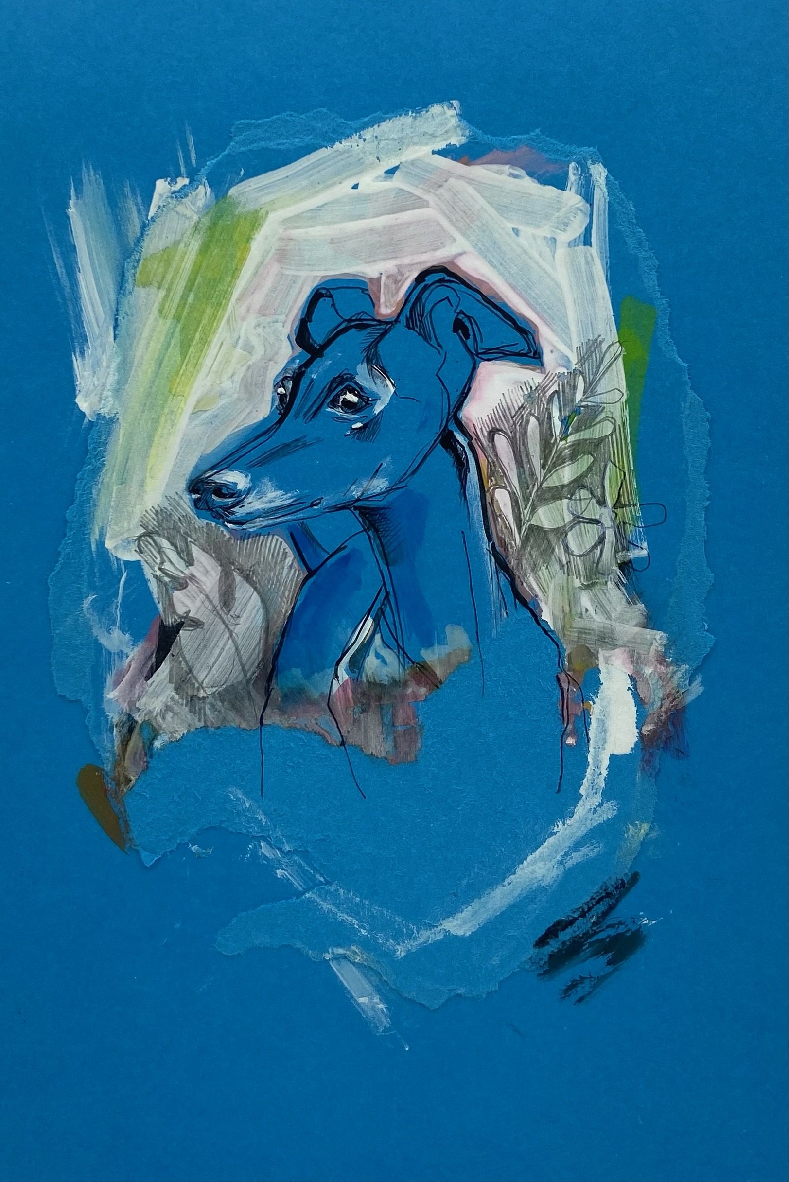 Grey Hound