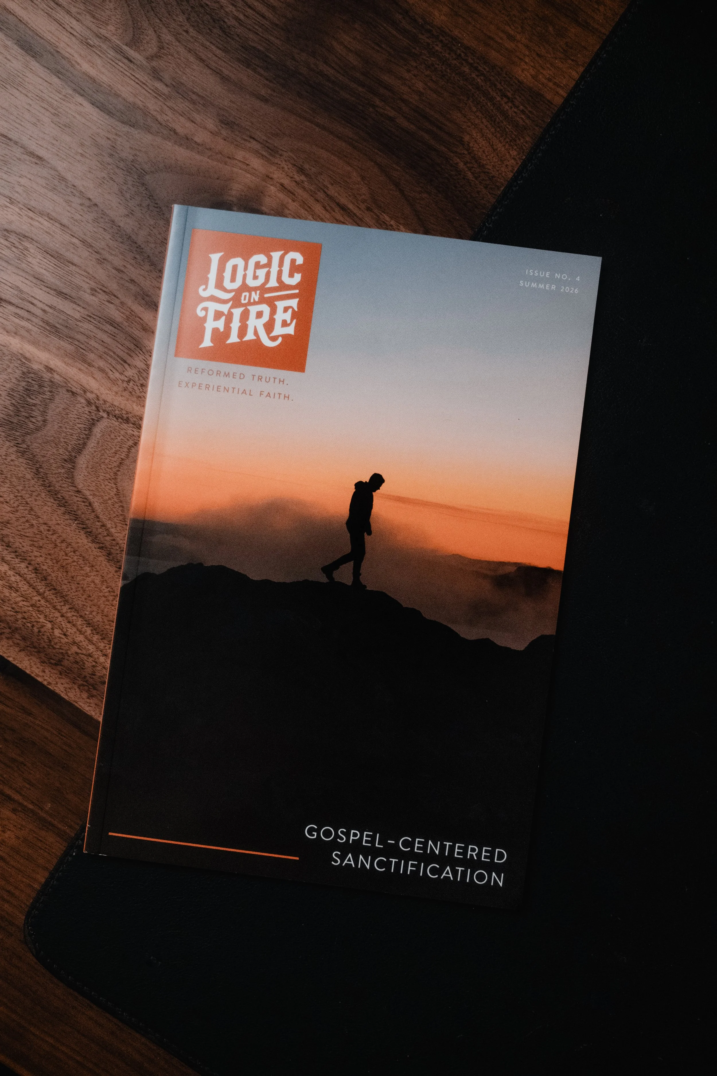 Logic on Fire Print Magazine - One Year Subscription