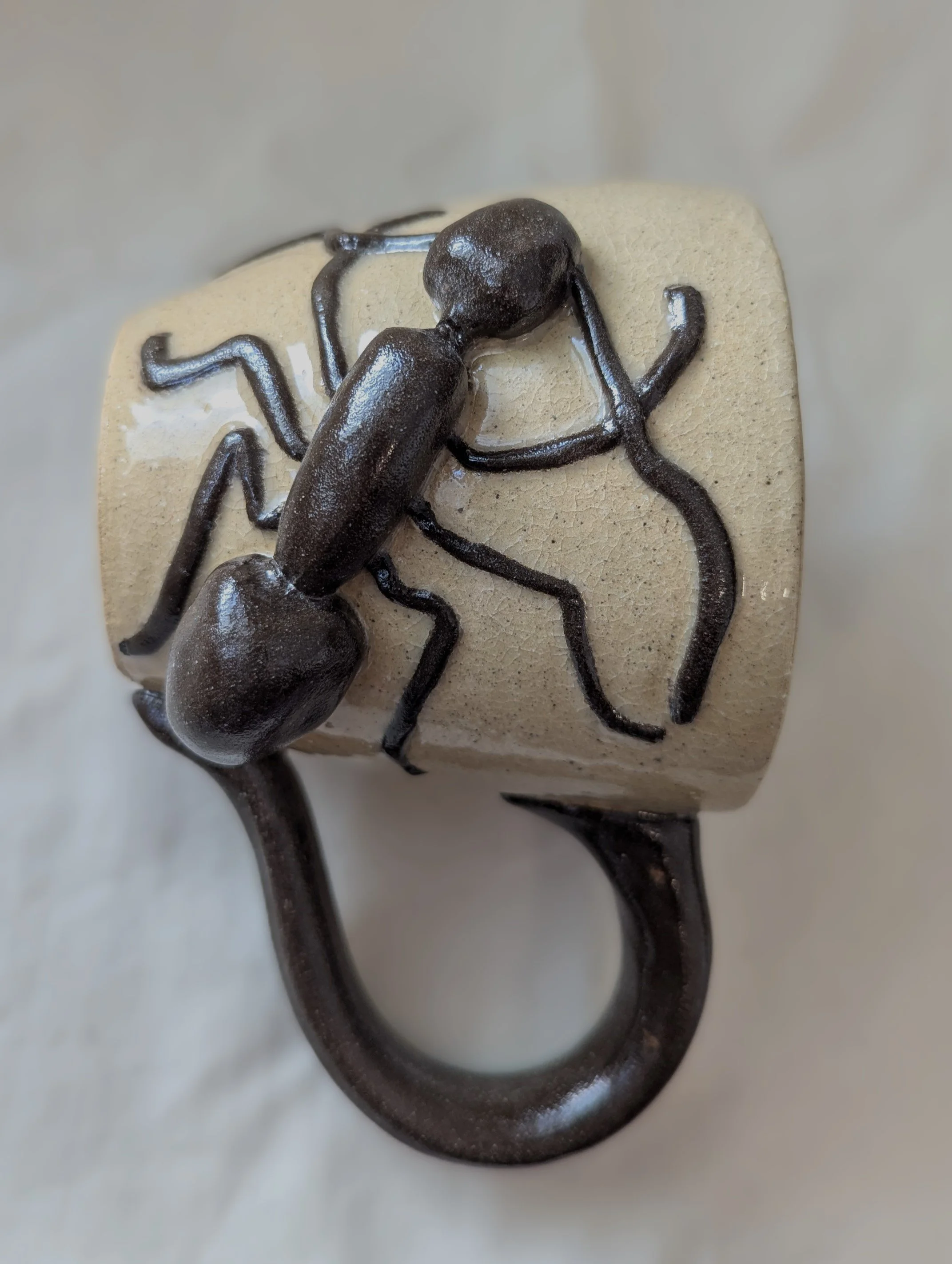 ant mug 1e.jpg