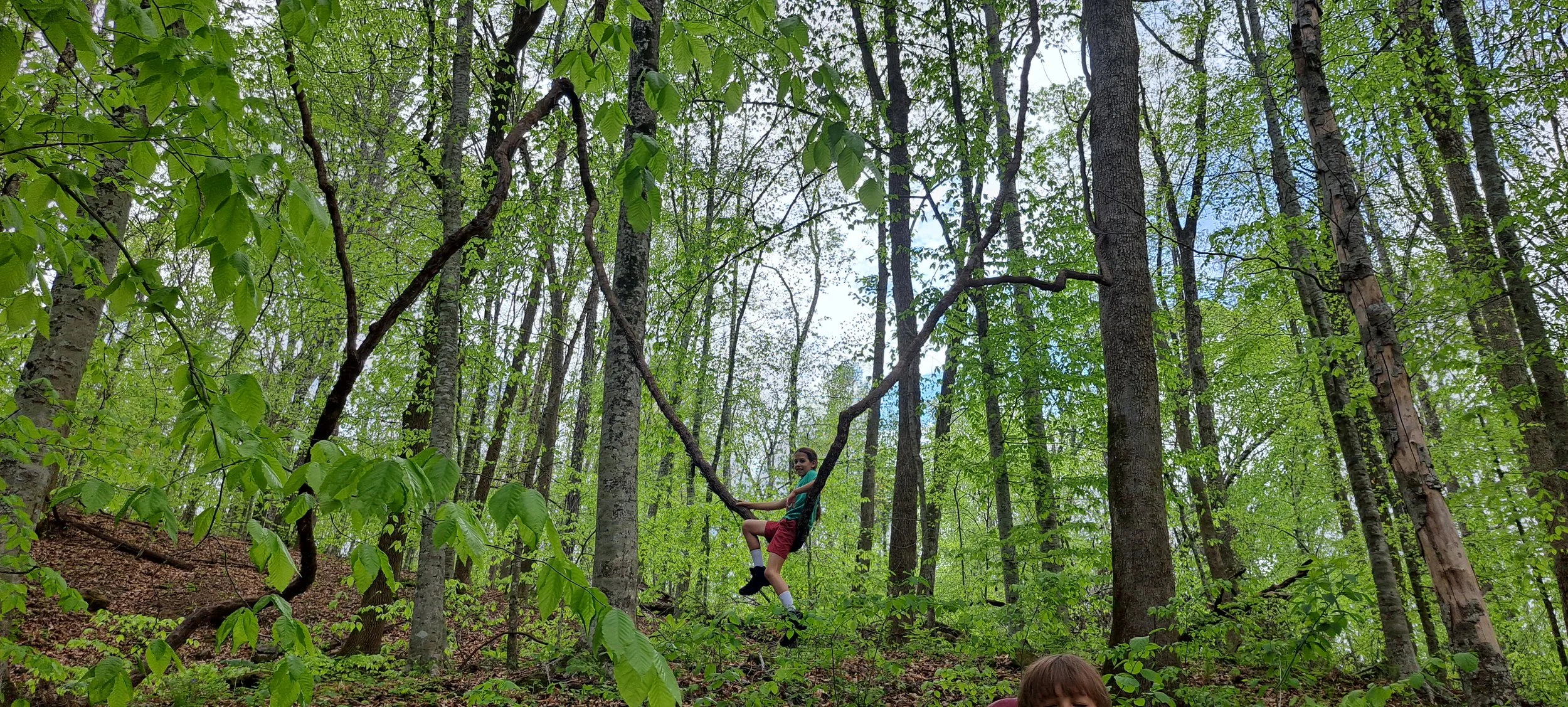 20260411_134704.jpg