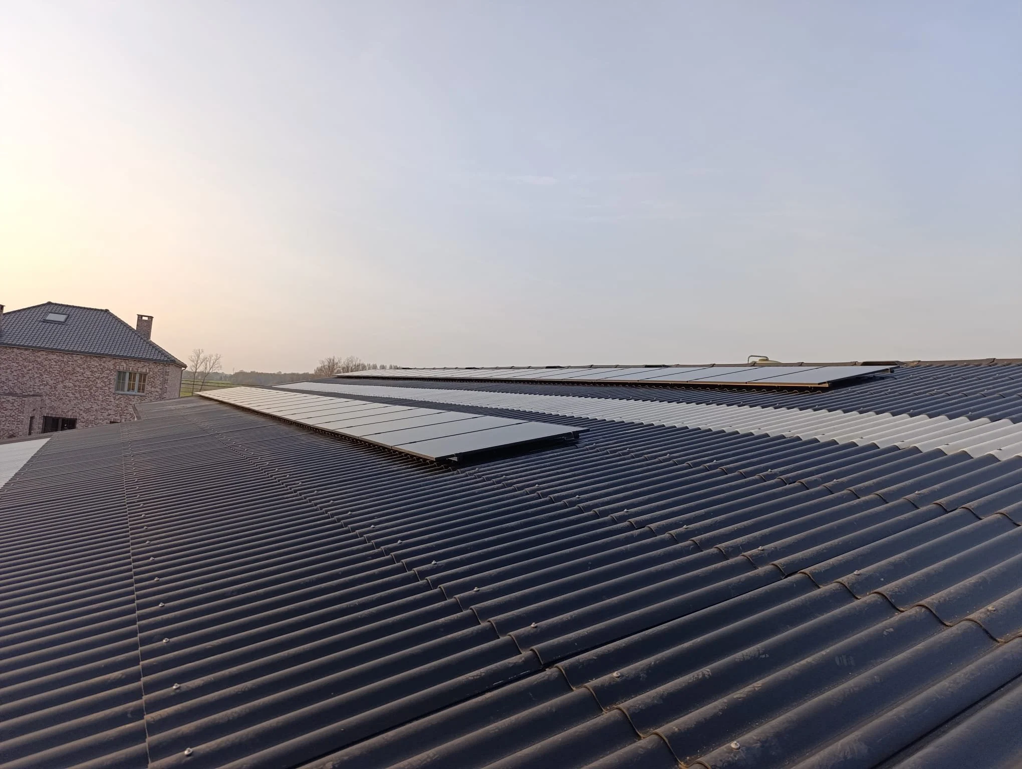 Zonnepanelen op golfplaten dak van landbouwbedrijf
