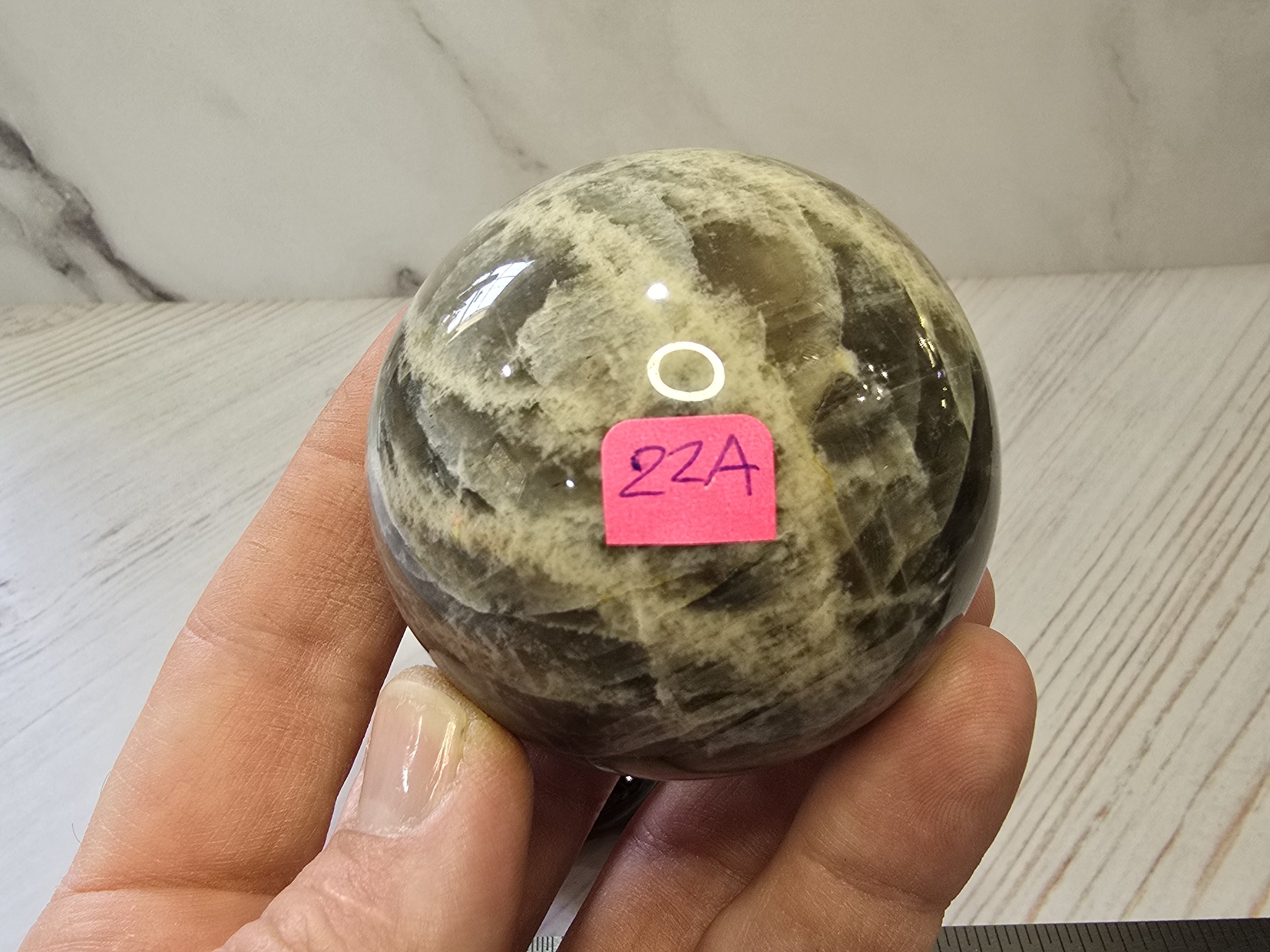 processed_7202d3f5bd5e49bdbd68148d9d45cdf1.jpeg
