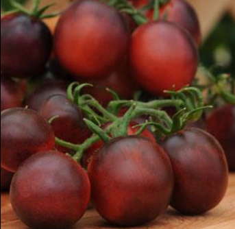 Tomato, Indigo Ruby